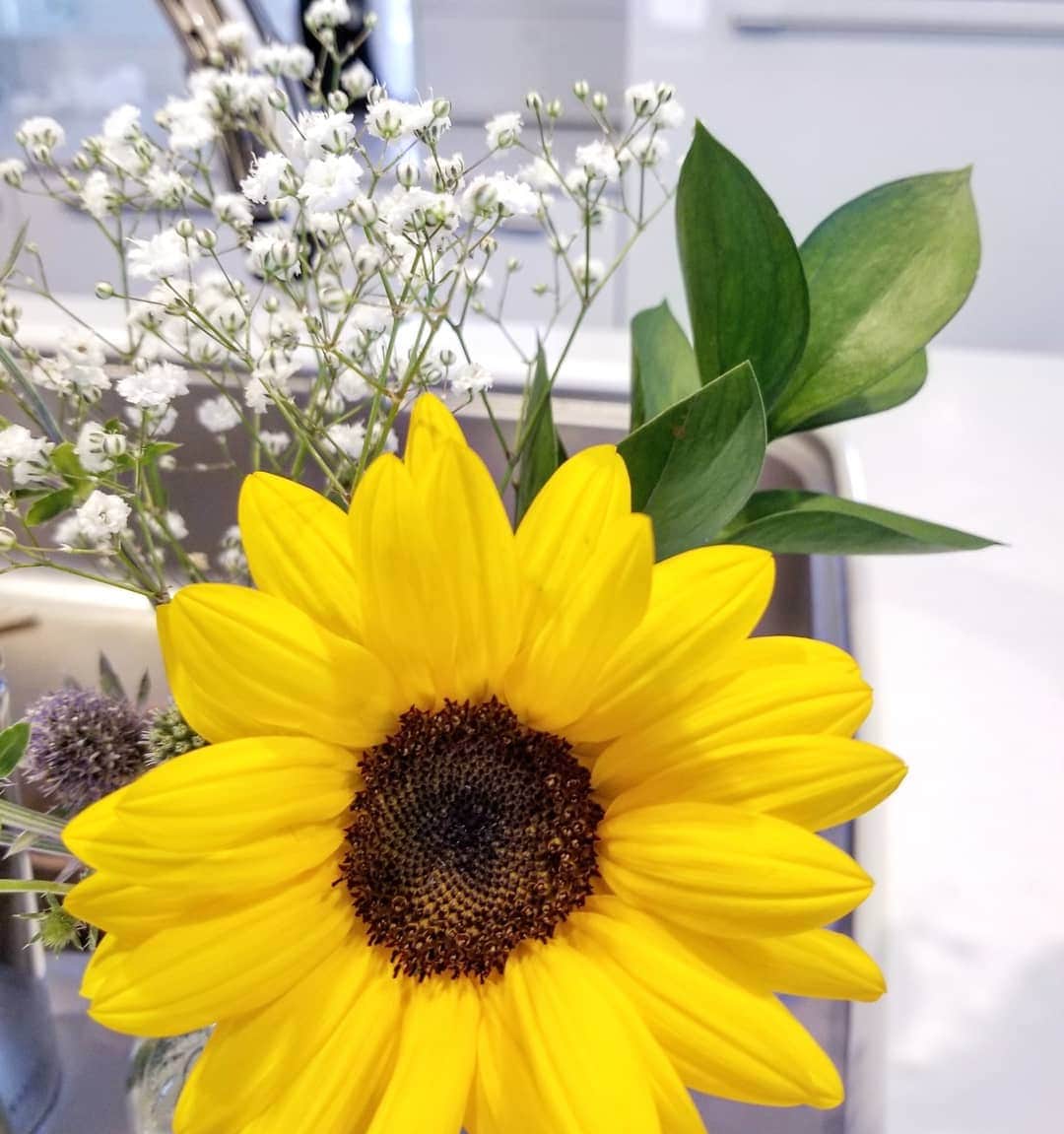 koyukkuma 一条工務店さんのインスタグラム写真 - (koyukkuma 一条工務店Instagram)「• 今週も @bloomeelife さんからお花が届きました💐 • ポストに届いたのを開ける瞬間、今週はどんなお花かなーってワクワク🎵 • 今週は大きくて元気なひまわりがキッチンを明るくしてくれてます💓 • • 3枚目は過去4週で届いたお花の写真です。 毎週違う色•種類のお花が届くので、色んな雰囲気を楽しめて、簡単にお部屋の模様替えができちゃいます！ • • 初回のお花お届けが無料になるクーポンがあります。 使ってくださいね💓 • ▼▼クーポンコード▼▼ • ■クーポンコード：kuma ■有効期限：2020年6月30日 • #bloomeelife #お花のある暮らし #サブスク #PR」6月14日 9時52分 - kumasan_ismart