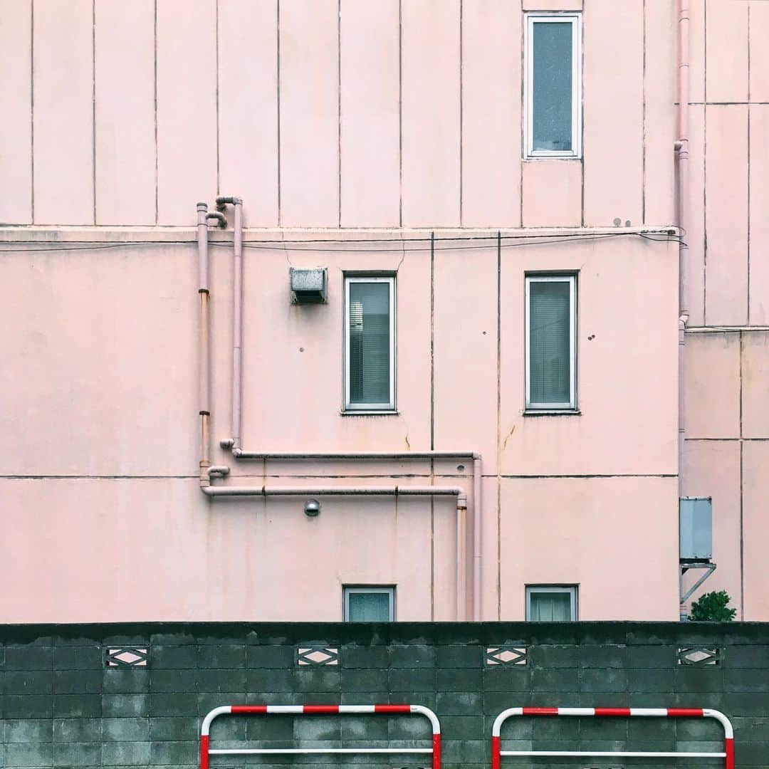 まめのインスタグラム：「🐖 . . 豚色 #投げやりなキャプション . #ザ壁部 #ihaveathingforwalls .  #mwjp #igersjp #indies_minimal #shotoniphone #reco_ig」