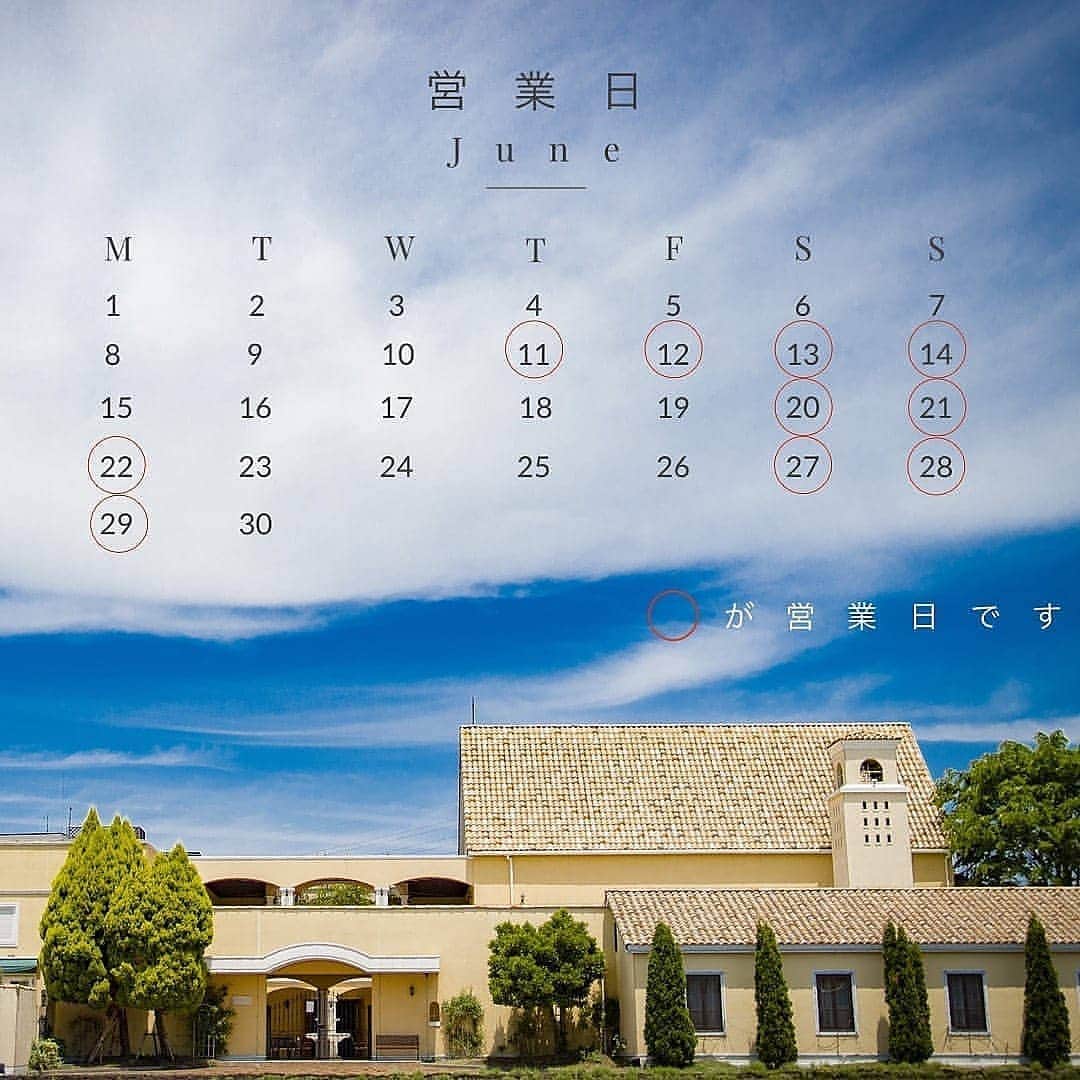 メゾン エルミタージュのグルメインスタ