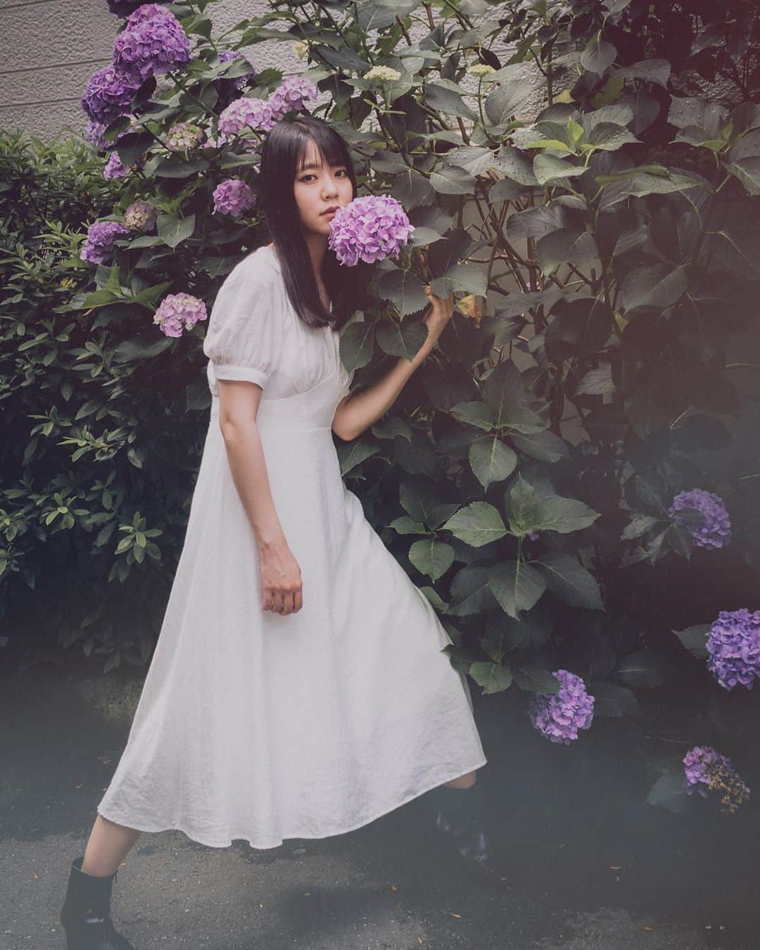 伴優香さんのインスタグラム写真 - (伴優香Instagram)「﻿ ﻿ ﻿ #紫陽花 の季節ですね。﻿ ﻿ アメニマケナイ﻿ ﻿ ﻿」6月14日 11時48分 - ban_yuka0707