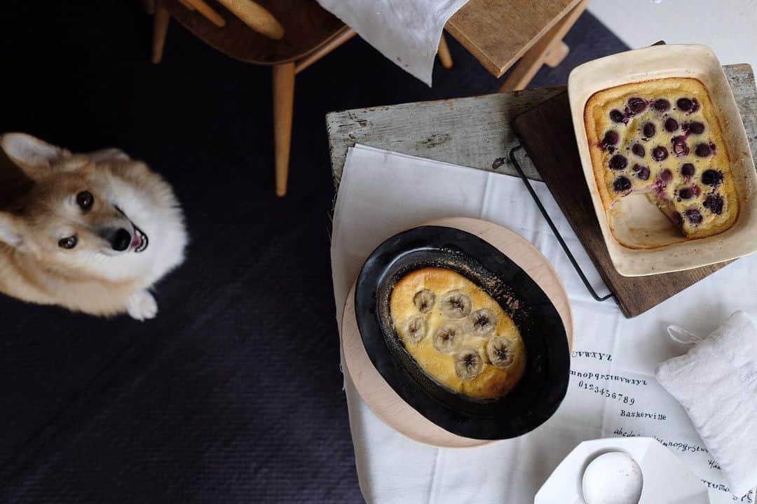 maggydaisyのインスタグラム：「_  残った液でバナナバージョンも一緒に焼きました。 バナナの香りでウキウキ顔。  #maggydaisymore20200613 #corgi #コーギー #里親 #犬のいる暮らし #card_ya #クラフティ」