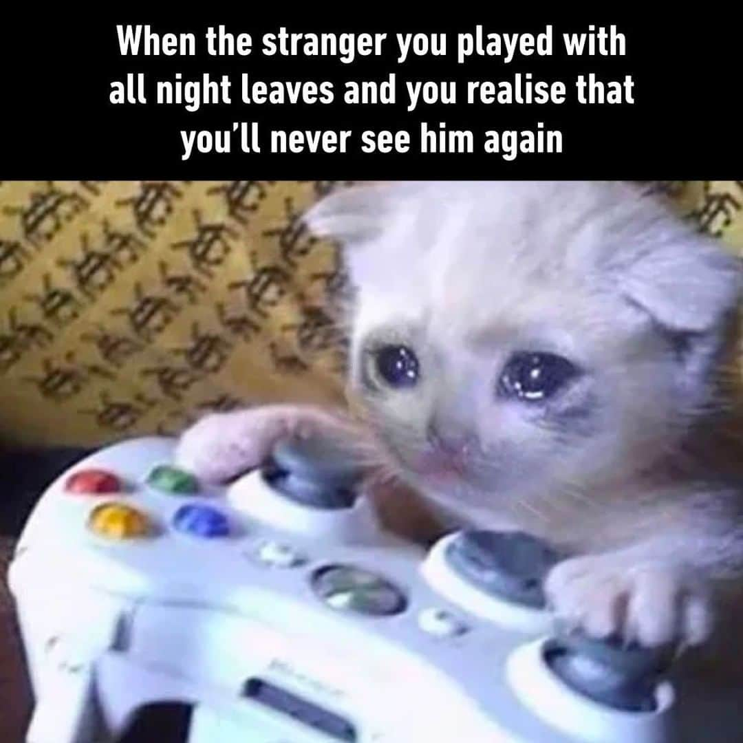 9GAGさんのインスタグラム写真 - (9GAGInstagram)「So long, partner.⠀ #gaming #bro #9gag」6月14日 13時00分 - 9gag