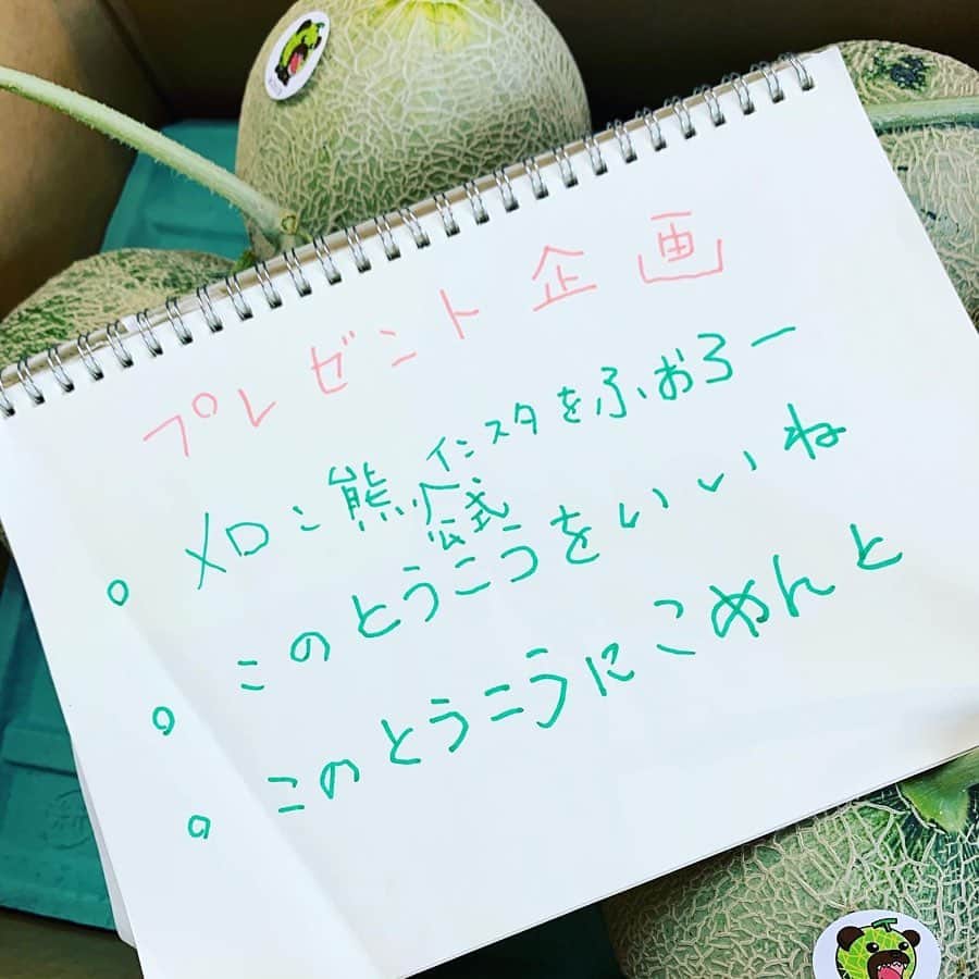 メロン熊【公式】のインスタグラム：「【メロンプレゼント企画】  人間の次に好物のメロンをフォロワーのみんなに抽選で1〜2名へプレゼント！ メロン食べたい感じのコメントしてね！ 夕張メロン個選7玉入1箱 当選者はメッセージ送るんで宛先教えてね！ (これで良いのかな？) プレゼント詐欺じゃないから安心してね！ 【対象者】 🍈送り先が沖縄や離島以外の住所 🍈メロンアレルギーじゃない方 🍈メロン熊のことが嫌いじゃない方」