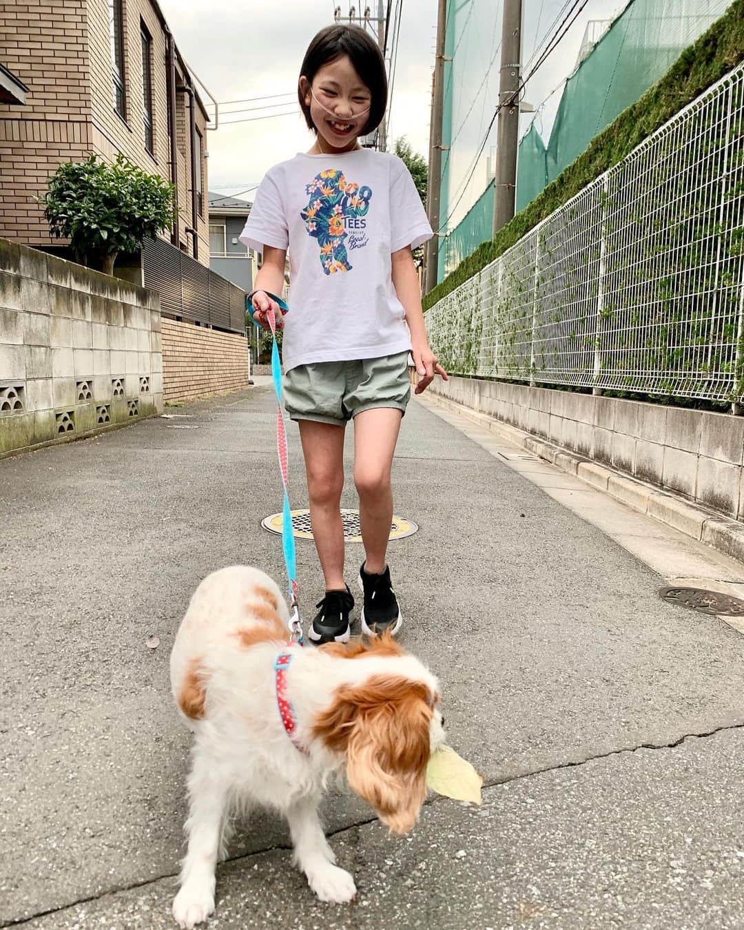 yukiさんのインスタグラム写真 - (yukiInstagram)「おはようございます。﻿ ﻿ "きょうのわんこ" ハナちゃん🐶﻿ 親友のムスメ、ハナちゃんとお散歩。﻿ 最近、かわいすぎるワンコたちの投稿を﻿ Instagramで見ていたら、、、たまらん🤎﻿ ﻿ 今日も見て癒されたいと思います🐾﻿ ﻿ #きょうのわんこ﻿ #ハナちゃんお世話隊﻿ #行きたいところに行かせて﻿ #milkaとhana﻿ #milka」6月29日 8時30分 - milkayuki