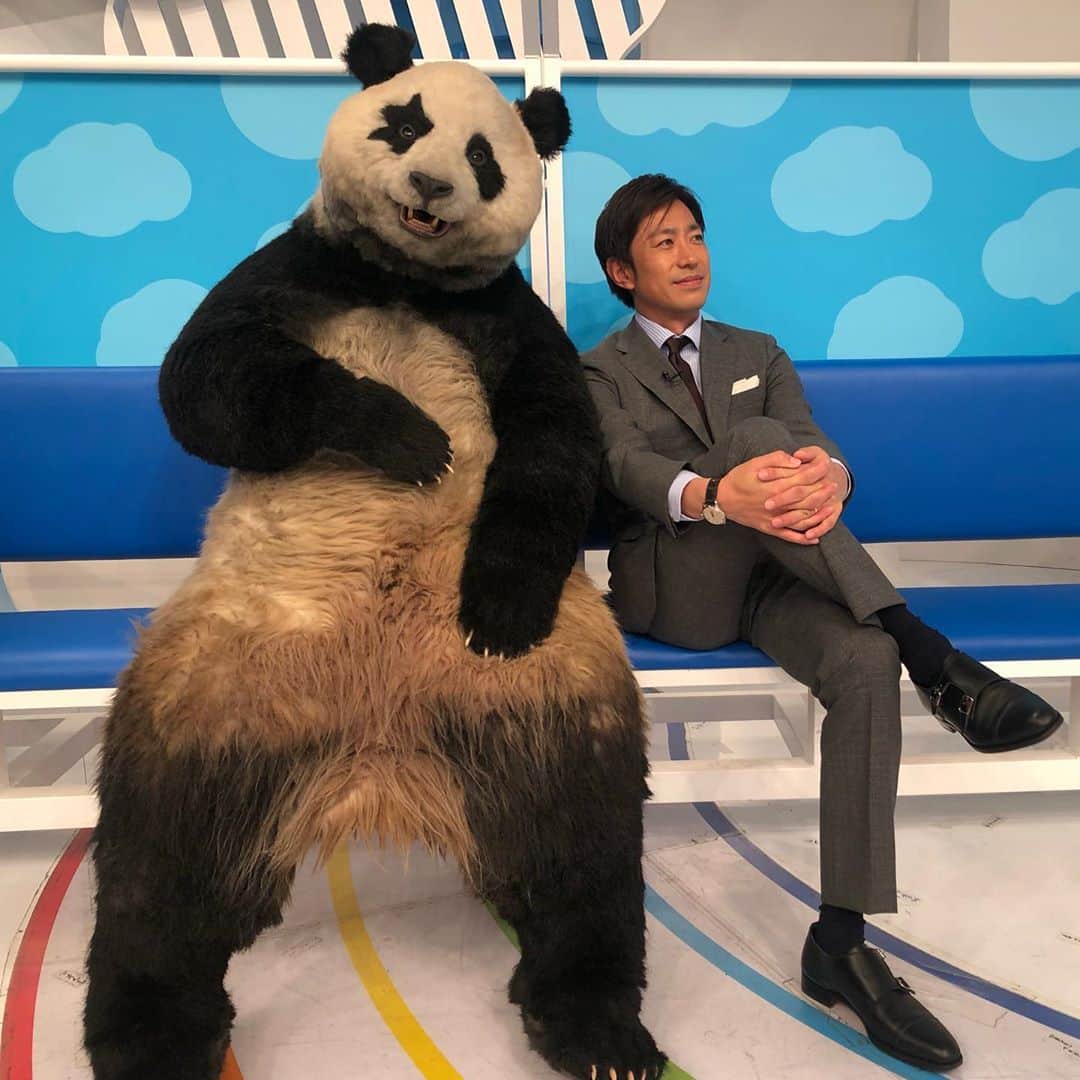 田中毅さんのインスタグラム写真 - (田中毅Instagram)「あんなに大きい星星が、こんなサイズに！？ #zip #panda #パンダ #星星 #ぬいぐるみ」6月29日 9時31分 - tanaka_ta_ke_shi