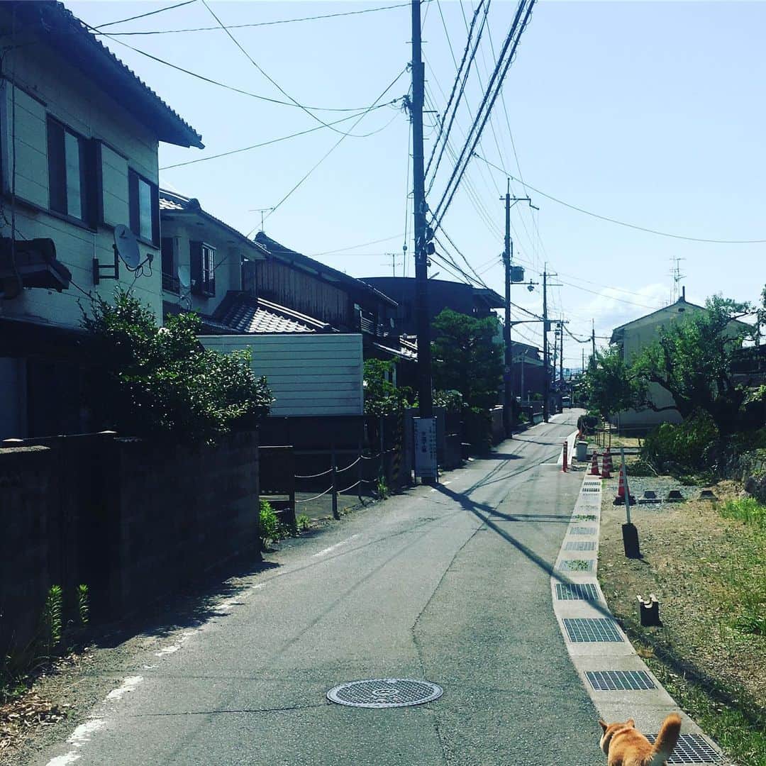 HALFBYのインスタグラム