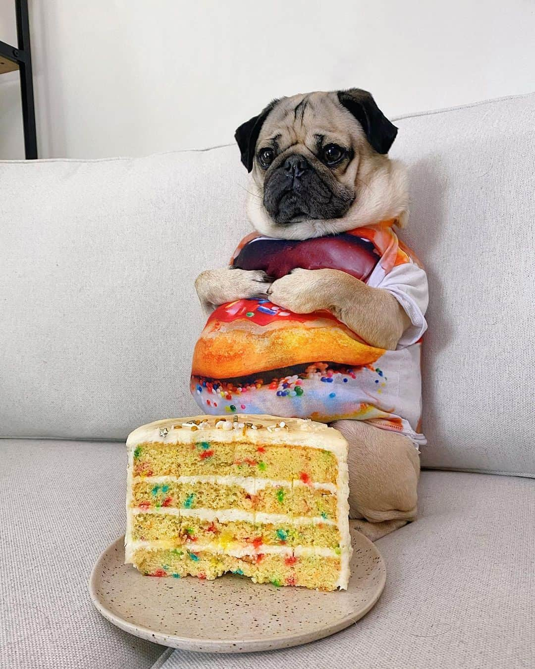 itsdougthepugさんのインスタグラム写真 - (itsdougthepugInstagram)「“‪When u realize u probably ate too much cake” -Doug」6月29日 0時52分 - itsdougthepug