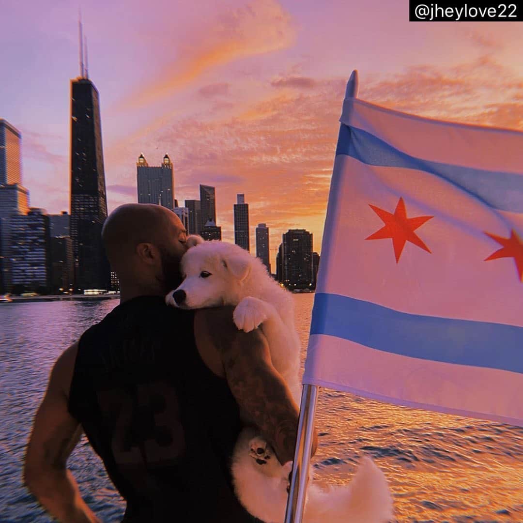 シカゴ・カブスさんのインスタグラム写真 - (シカゴ・カブスInstagram)「😍 C H I 😍 Via @jheylove22 Lil Girl 🐾 🤍」6月29日 1時25分 - cubs