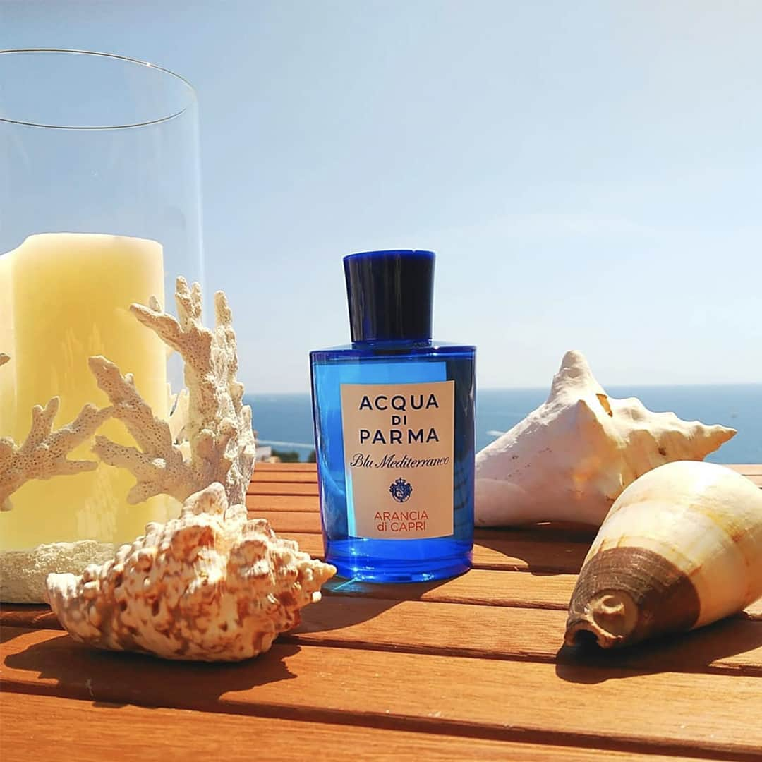 アクアディパルマさんのインスタグラム写真 - (アクアディパルマInstagram)「Indulge in the beauty of the Mediterranean with our Arancia di Capri☀⁣ @scentleopard . .⁣ #acquadiparma #justbreathe #blumediterraneo #capri #summervibes #summer #nicheperfumes #weekendvibes #instatravel #travelphotography #italiansummer」6月29日 2時00分 - acquadiparma