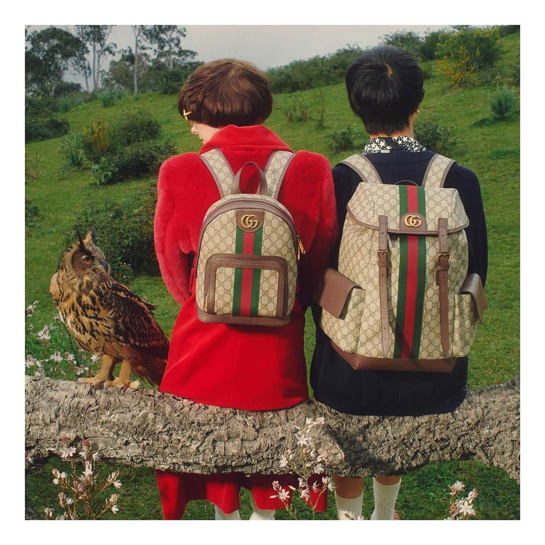 グッチさんのインスタグラム写真 - (グッチInstagram)「Two of the most definitive codes—the GG canvas and the House Web stripe—define new #GucciOphidia backpacks. Shop the #GucciPreFall20 collection through link in bio or via Instagram. @alessandro_michele #AlessandroMichele」6月29日 2時07分 - gucci