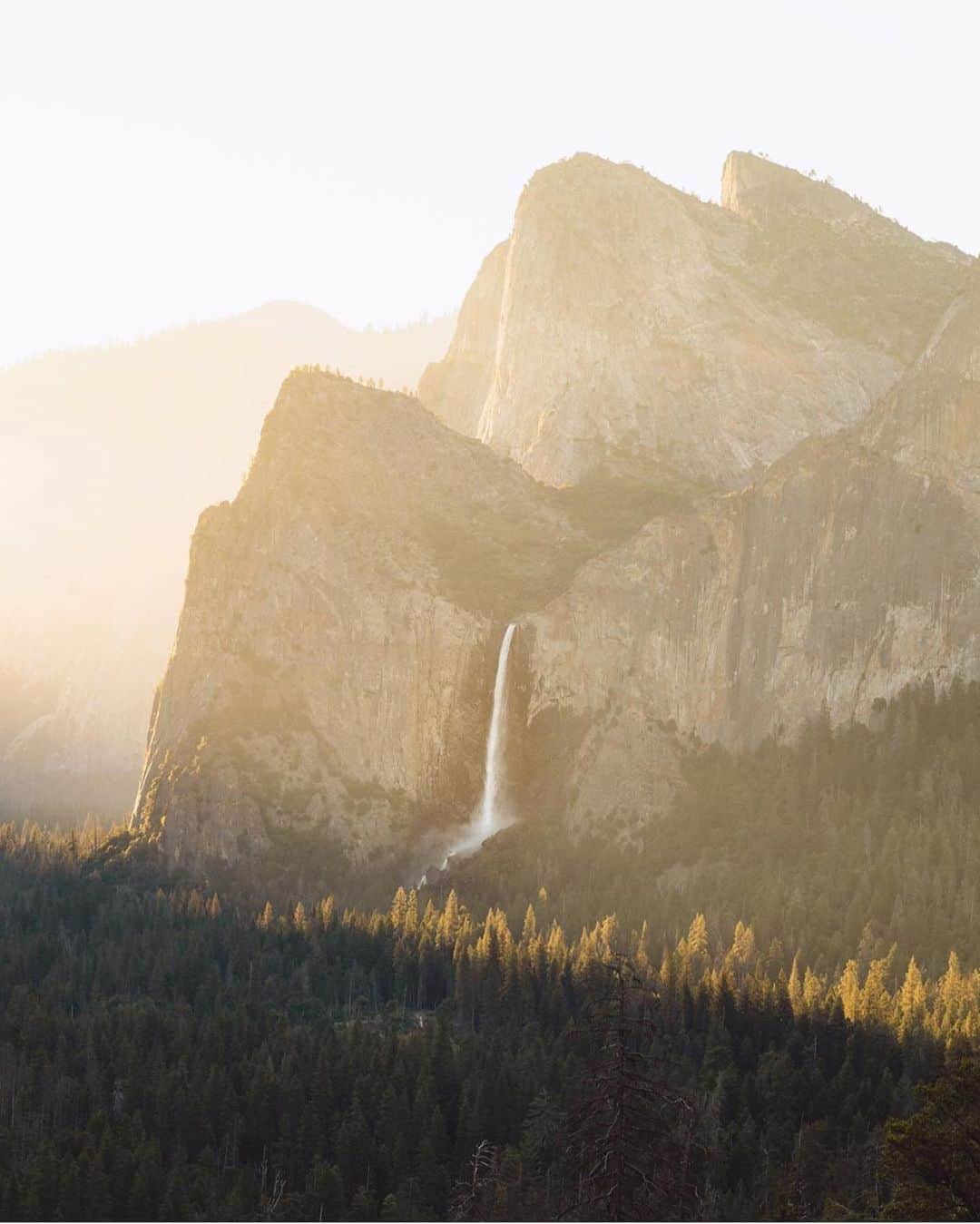FOLKのインスタグラム：「Ever since I posted all those autumn photos the other day I find myself continually drawn to the golden light in images. This one by @brendinkelly is just fire! It was taken in Yosemite I do believe.」
