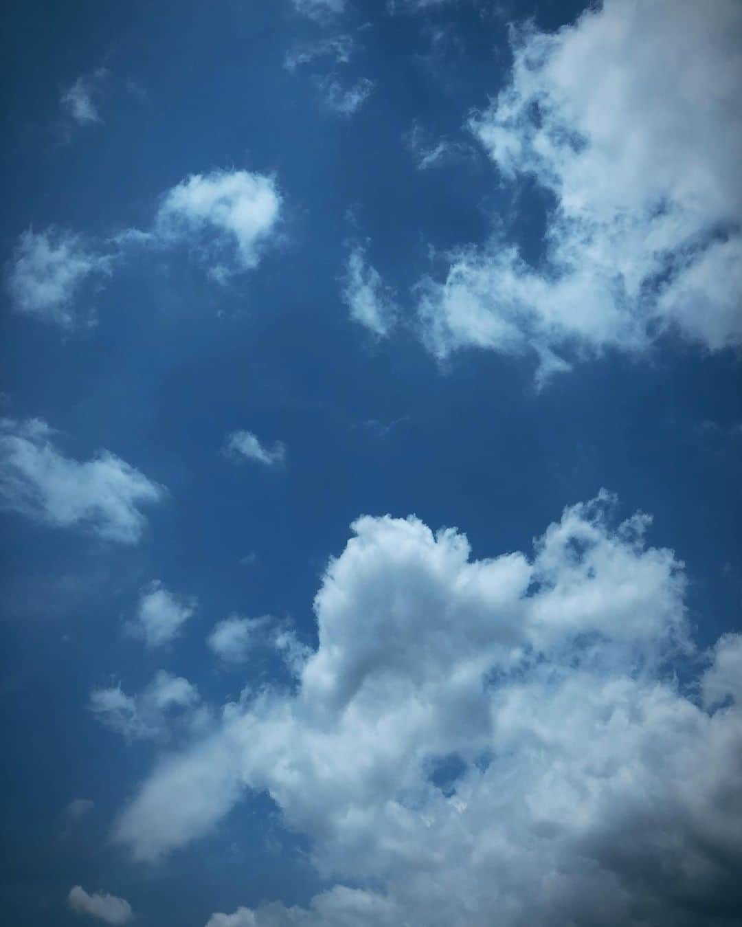 飯田りほさんのインスタグラム写真 - (飯田りほInstagram)「SKY . . . #archive #アーカイブ」6月29日 3時19分 - rrri_ho