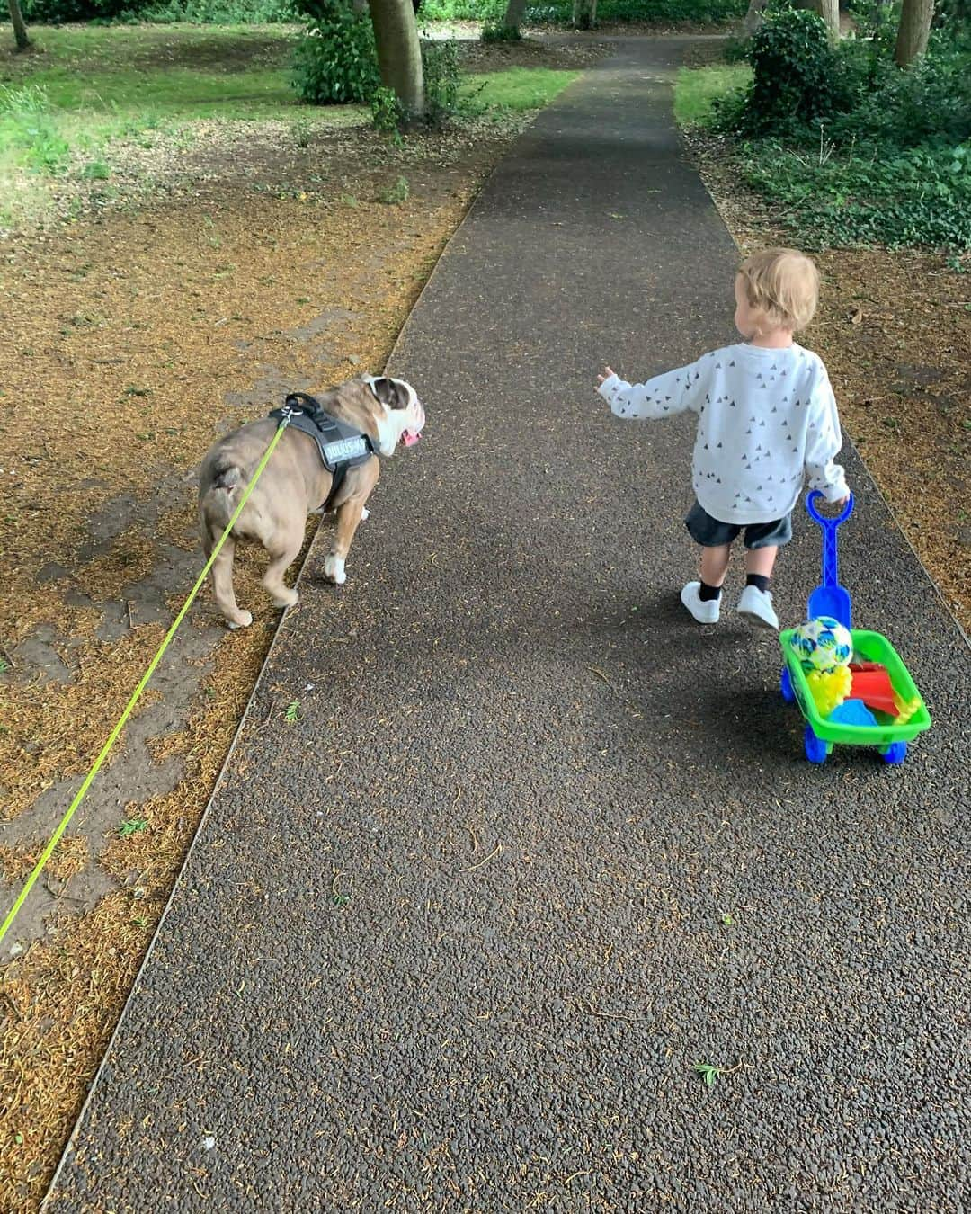 ライアン・メイソンさんのインスタグラム写真 - (ライアン・メイソンInstagram)「Family walk 👌🏻」6月29日 4時24分 - ryan8mason