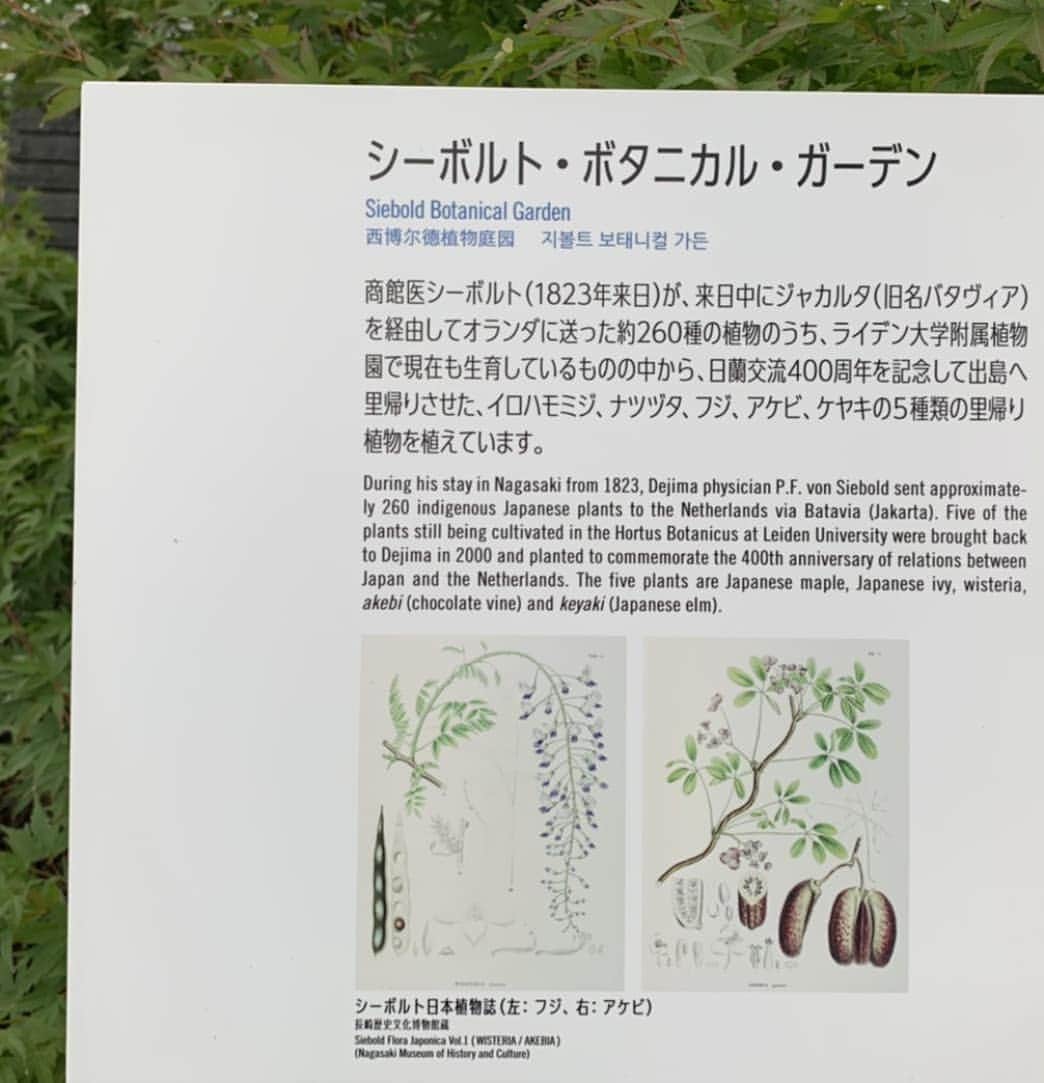前田真里さんのインスタグラム写真 - (前田真里Instagram)「【Dejima と Deshima】 古文書に「出嶋」とかかれていることについて@yumintanaka　さんから 読み方は、Deshimaでは？と ご質問をいただきました😊  それを見たフォロワーさんに 当時の名残が残っているよ！と  教えていただき現在の #長崎市　#出島町 へ🎵  案内板にも2つの表記がありましたよ。  １つの地名をとっても 長崎の歴史文化の奥深さを 感じます👀！ そして、その一角には、 シーボルトのボタニカル・ガーデンが。 NYブルックリンのボタニカル・ガーデンに お花見🌸行ったのが懐かしい。  思いがけず、長崎とNYが 繋がりました💕 ・ ・  #dejima #deshima #練鉄 #プラットトラス橋 #最古の橋 #近代文化遺産  #歴史さんぽ *追記:🇺🇸マサチューセッツ州では Decimaという記録もあるそう。 面白いですね！  https://www.pem.org/」6月29日 5時49分 - maedamari