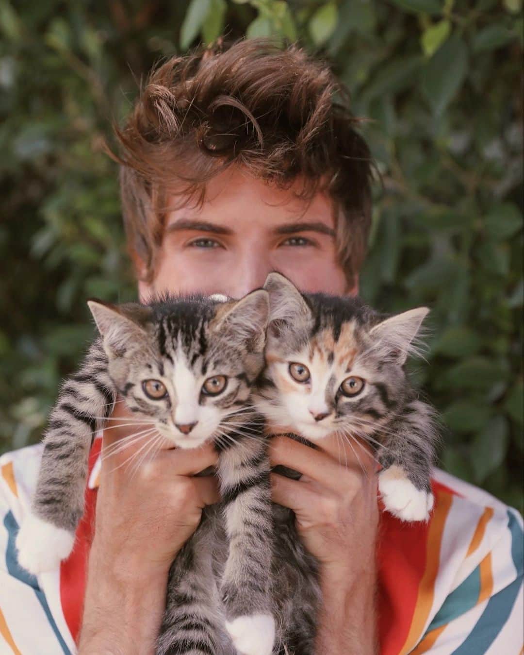 ジョーイ・グレーセッファのインスタグラム：「i’m not kitten when I say these guys grew up way too fast 🥺🥺 swipe 👉🏻 to see how smol they were」