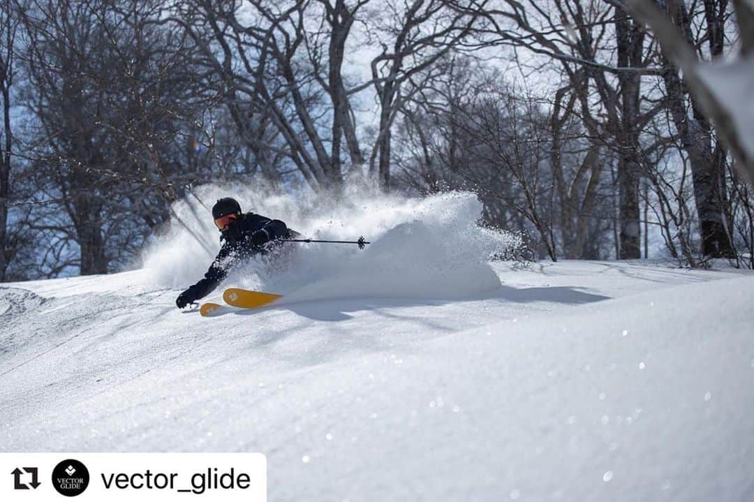 岩本憧子のインスタグラム：「. 大好きなスキー達の紹介文を書かせて頂きました🎿💓 . 良かったら読んでください🥰 . #Repost @vector_glide with @make_repost ・・・ Rider & Guide Voice -Ako Iwamoto- POLARVE  どんな斜面どんな雪質でも安心して任せられるスキー。 私はその日のスキー板選びに悩むとPOLARVEを手にします。 山でもゲレンデでも。  その理由は最初に言った、「どんな斜面どんな雪質でも安心して任せられる」からです。 特に安心感を得られるのは少しデコボコした斜面の時とスピードを出した時です。  スキーを信頼できるからこそ、もう少し攻めれるかな、よし、行ってみよう。と思わせてくれる。  ただそれだけではありません。 何気ない日にゆるーくスキーをしたい時。 目的はないけれど楽しく気持ちよくスキーをしたい時。 斜面の上から下まで、大きいターンでスピードを出したり、かと思えば小刻みなターンをしたり少し遊んでみたりそんな事が楽しくできる。  攻めたり守ったりできるそのギャップが面白いなぁと感じます。  もちろんVECTOR GLIDE には様々なスキーがあって、雪が沢山降ったらGENIUSを履けばいいし 整地されたゲレンデでカービングターンを楽しみたいならMAXI GRAN TURISMOを履けばいいと思います。  沢山の種類があるからこそ、それぞれの用途や目的によってその日のスキーを選ぶ楽しみがあります。  その中でも私にとってのPOLARVEは何気ない日々の相棒で信頼できるスキーです。  CAMEL HUMP  スキーが勝手に良い動きをしてくれる、その割にはクセがなく操作がしやすい。 CAMEL HUMPにもっている印象です。 「スキーが勝手に良い動きをしてくれる」 スキーのトップからセンターまで気持ちよく雪を捕らえてくれます。 そして板のトップがコブの頭に到達した時の板の動きがとにかく良い！ 粘り強くコブにひっついてくれます。  スピードをあげていってもその感覚は変わりません。 むしろ安定感は上がってきます。  どんなコブでも安心して滑っていけます。  またコブの中では少なからずズラしの要素が必要となってきます。 「クセがなく操作がしやすい」 この部分を実感するのは板をズラした時です。 コブを滑っていて自分のズラしたいタイミングでスッとズラしたりもできる。  モーグルにおいて全カービングでコブを滑り降りてくることは正直厳しいです。  ズラしの要素は必ず入ってきます。 だからこそ、この操作性の良さには助けられます。  しかしCAMEL HUMPはコブの中で少しでもカービング要素を入れたターンをしたい人にこそおすすめしたいです！  スキーのトップからセンターまでしっかり雪を捕らえてくれることにより コブの中でもカービングを感じやすくしてくれるからです。  CAMEL HUMPとCAMEL HUMP LIGHT、２種類あります。 正直 、フレックスの硬いCAMEL HUMPは高い技術が必要です。 硬いコブだと、良いポジションに乗っていないと板に置いていかれてしまう感覚になってしまうかもしれません。 しかし技術が伴っていれば、速いスピードでも抜群の安定感で滑り降りてこれます。 また、春のシャバシャバ雪などで思いっきりスピードを出してコブを滑り降りたい人にも CAMEL HUMPをオススメします。  これからコブが上達したい人や硬いコブで滑ることが多い人には、 CAMEL HUMP LIGHTをオススメします。 硬いコブでもしっかり板をたわませて滑ることができます。 またコブの中での板の動きを感じやすいのでコブ上達につながるでしょう。  Ride & Text: @akoiwamoto  Photo: @jun_yamagishi_  プロフィール欄VECTOR GLIDE web siteより写真や動画を掲載したフルバージョンをご覧いただけます。 合わせてご覧ください  #vectorglide #whitete_tokyo #backcountryskiing #mogul #ski」