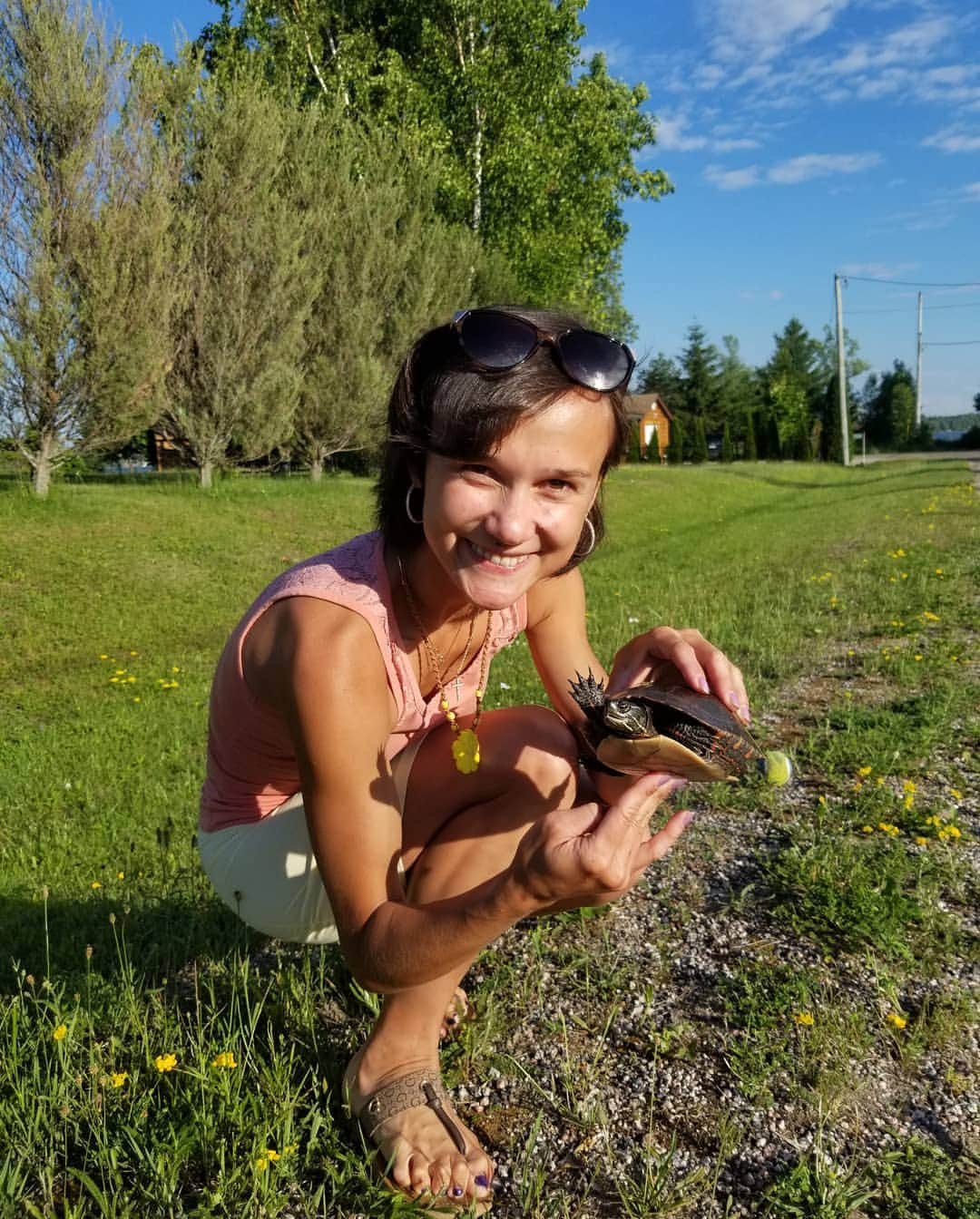 リュボーフィ・イリュシェチキナのインスタグラム：「Painted turtle) 🐢 My dad didn't believe that there are turtles here in Canada as in Russia in the zone where my parents live, we don't have them. It was a good opportunity to take a picture and show to my dad ) looks very sunny and colourful )  #turtle #summer #cottage #sunset #nature #snappingturtle #snappingturtles」