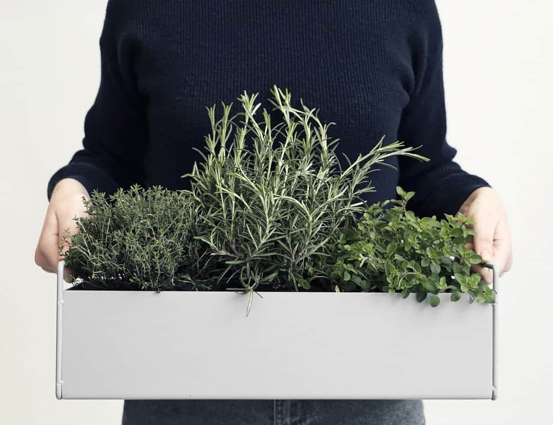 KOZLIFEさんのインスタグラム写真 - (KOZLIFEInstagram)「【KOZブログ】 ferm Living の中でもファンの多い「Plant Box」 つい名前に囚われて、 使い方の幅を狭めてしまってはいませんか？ せっかくなら…… そこから少しはみ出て 自由なアイディアでアイテムを楽しみ デザインを一緒に育てていきましょう！ . ◎ブログはトップページのバナーorプロフィールのURLからどうぞ。 ▶︎ @kozlife_tokyo . #KOZLIFE #japan #instahome #instagood #instajapan #Interior #nordicinspiration #interiordesign #instadaily #fermliving #denmark ​#plantbox #ファームリビング #ストーリーズ #暮らし #北欧インテリア #北欧雑貨 #インテリア #丁寧な暮らし #シンプルライフ #花のある暮らし #海外インテリア #ステイホーム #おうち時間 #プラントボックス」6月29日 8時01分 - kozlife_tokyo