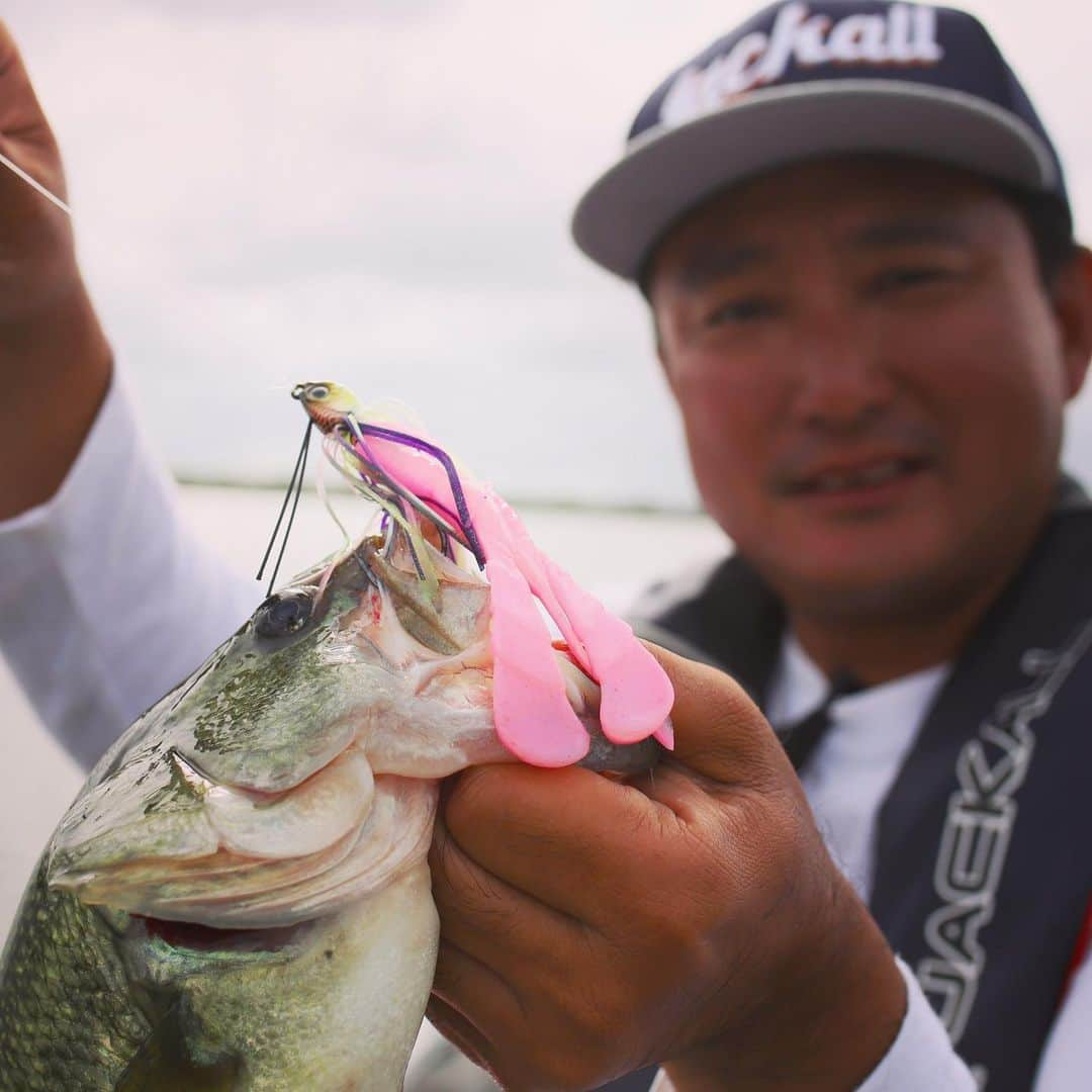 ジャッカルさんのインスタグラム写真 - (ジャッカルInstagram)「"Three great swimjig methods for early summer by Yoshitaka Nishimura" on JACKALL official website.  西村嘉高プロによる"初夏の平野部フィールドを攻略する、スイムジグテクニック3選"を公式サイトで公開いたしました。  霞ヶ浦や利根川水系で活躍する西村プロのアドバイスは釣果アップに貢献します。  詳しくはプロフィール欄リンクか下記リンクよりご覧ください。  https://www.jackall.co.jp/bass/column/2020-06-05-34337/  #jackall #swimjig #bcrawlswimmer #bcrawlflapper #fishing #bassfishing #ジャッカル #スイムジグ #Bクロールスイマー #Bクロールフラッパー #西村嘉高 #釣り #フィッシング #バスフィッシング #霞ヶ浦 #北浦 #利根川」6月14日 23時42分 - jackall_jp