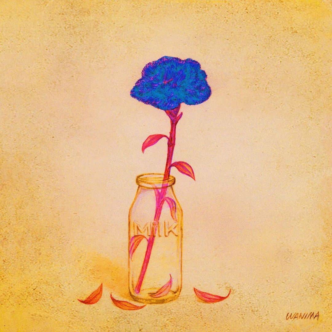 WANIMAのインスタグラム：「最新曲﻿ ﻿ 「Milk」﻿ ﻿ https://wanima.lnk.to/milk﻿ ﻿ 配信開始致しました!!﻿ ﻿ #WANIMA」