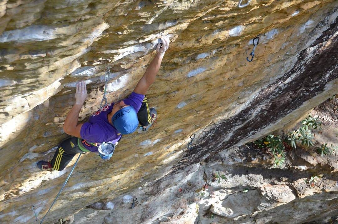 シーン・マコールさんのインスタグラム写真 - (シーン・マコールInstagram)「Found these yesterday! The Red River Gorge; Sandstone rock, great atmosphere, great Pizza, great people. Everyone loves it there! ❤️ ⠀⠀⠀⠀⠀⠀⠀⠀⠀ ⠀⠀⠀⠀⠀⠀⠀⠀⠀ 🎞 by: @jamie_chong | Gary Foster ⠀⠀⠀⠀⠀⠀⠀⠀⠀ ⠀⠀⠀⠀⠀⠀⠀⠀⠀ ⠀⠀⠀⠀⠀⠀⠀⠀⠀ ⠀⠀⠀⠀⠀⠀⠀⠀⠀ ⠀⠀⠀⠀⠀⠀⠀⠀⠀ @adidasterrex | @scarpana | @joerockheads | @verticalartclimbing | @flashedclimbing | @perfect_descent | @CANFund | @visaca #verticalart #CANFund #TeamVisa #climbing #train #canada #athlete #sports #power #fitness #work #workhard #workout #strength #ninja #gym #fun #business #challenge」6月15日 0時48分 - mccollsean