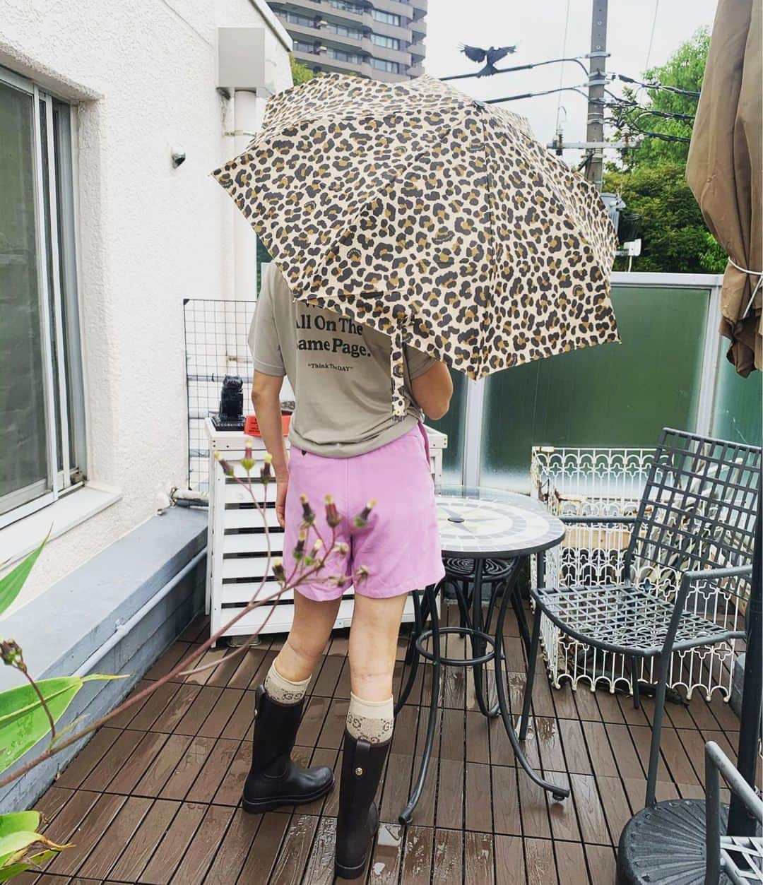 安西こずえさんのインスタグラム写真 - (安西こずえInstagram)「☔️だけどー 可愛いレインブーツと傘☂️♥️♥️♥️ @mackintoshofficial  ブラウンのブーツにGUCCIのソックス😛 カラスも入っていー感じ🤣 @saekoofficial  のTシャツとマスク届いた👏👏👏 ありがとう❤️ さすがね👍 #ベランダコーデ」6月14日 16時03分 - cozcozrin