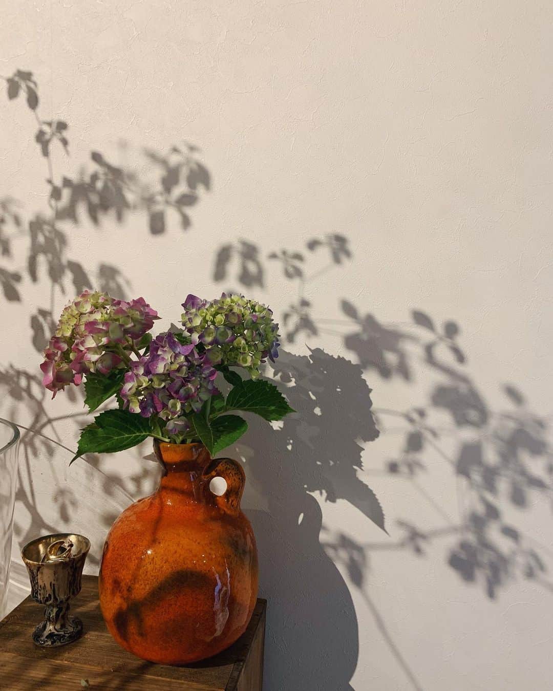 ジュジュさんのインスタグラム写真 - (ジュジュInstagram)「この薄暗い中で撮った紫陽花が 又梅雨っぽくて嫌いでない...よっ💠 . #ヒラカノシュミ  #6月 #梅雨」6月14日 17時12分 - hiraka