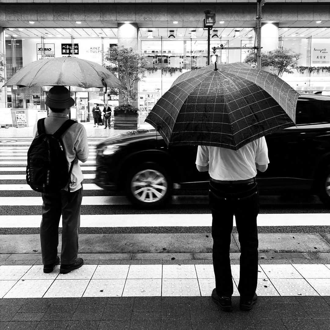 naotakeのインスタグラム：「雨 - A rainy day / iPhone XR & Snapseed, 20200615 . . 梅雨入り早々、本気の振りっぷり。 . . #spicollective #royalsnappingartists #infamous_family #rsa_main #infinity_photo_cult #2_fineart #jp_gallery_member #jp_gallery_bnw #trb_bnw #wp_bnw  #bnw_life #bnwlife_member #bnw_life_shots #bnw_captures #world_bnw #top_bnw #team_jp_ #team_jp_モノクロ #ig_energy_bw #ig_nihon #streetphotographybnw #igersjp #blackandwhite #bnw #bnwphoto #monochrome #bw #bnwphotography #ShotOniPhone #shotoniphoneXR」