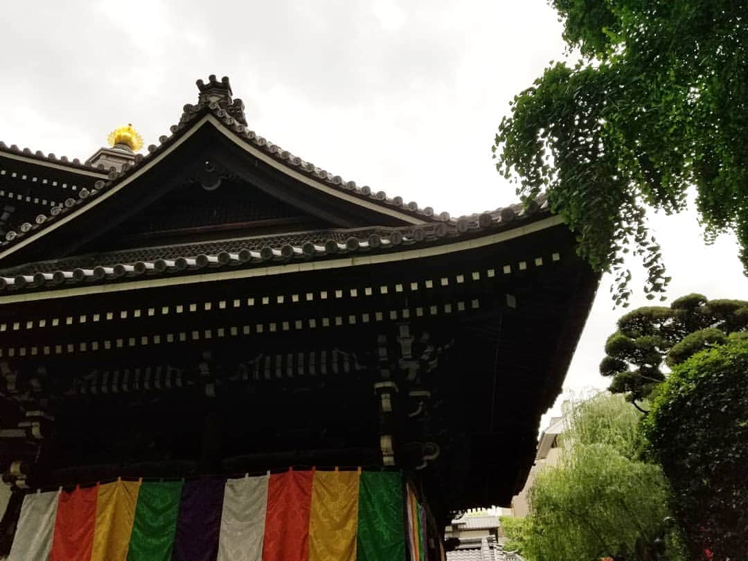 谷口キヨコさんのインスタグラム写真 - (谷口キヨコInstagram)「六角堂はどこから見ても美しいです。屋根さえもキレイだもん✨#六角堂 #西国三十三所 #西国三十三所巡り #谷口キヨコ #きよぴー #京都」6月14日 17時41分 - kiyokotaniguchi