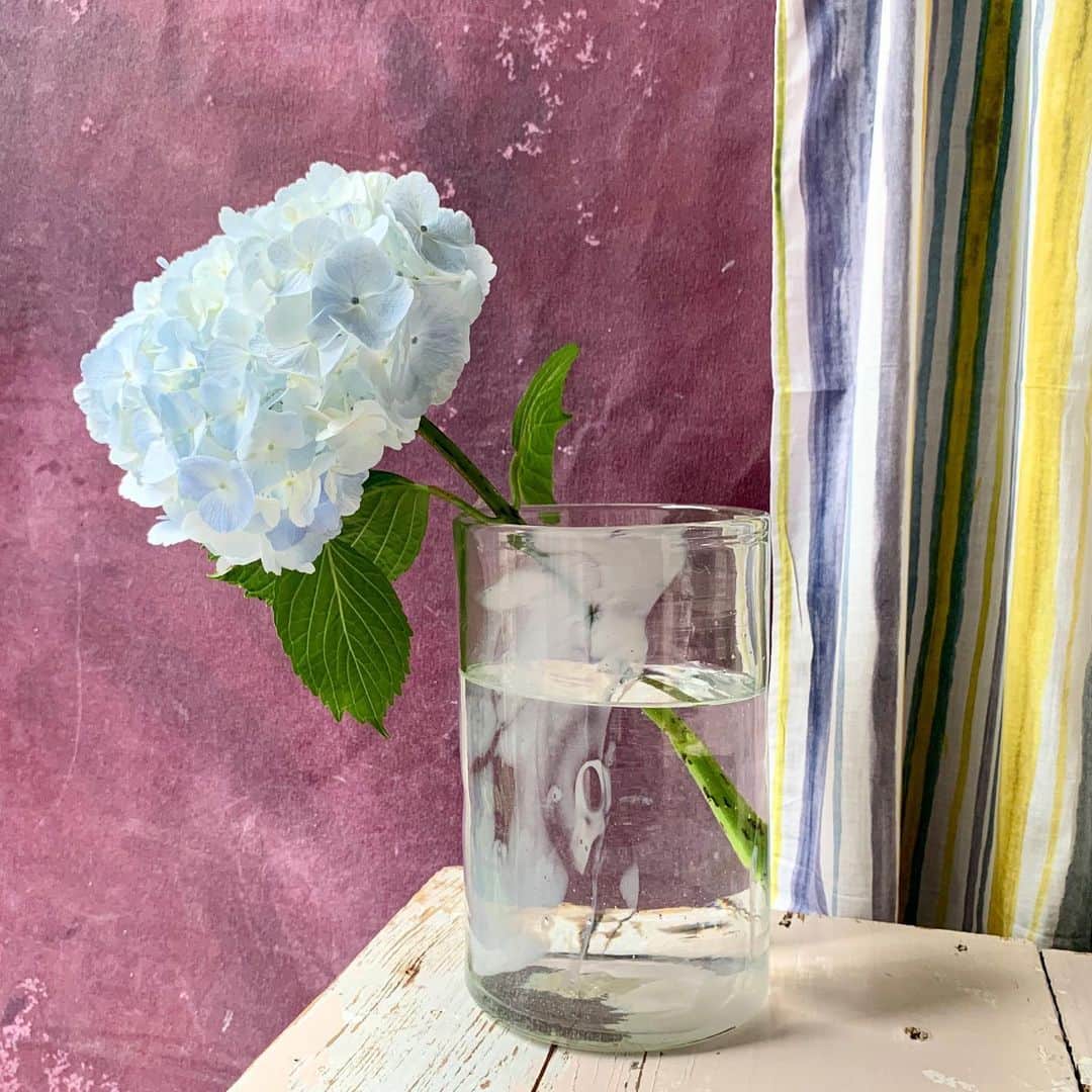 H.P.DECOさんのインスタグラム写真 - (H.P.DECOInstagram)「【RECOMMEND】パリの吹きグラスのブランド、La Soufflerie(ラ・スフルリー)の花器に季節の花を生けませんか。表情のあるガラスにマーブルのような白い模様が入った涼やかな作品です。 💠🌿 ベース ¥24,500 カーテン ¥41,800(tax in)  #lasoufflerie #ラスフルリー #paris #colombaleddi #flowervase #花のある暮らし #紫陽花 #hydrangea #hpdeco #hpdecoaosando #interior #art」6月14日 18時59分 - atelier_ma_vie