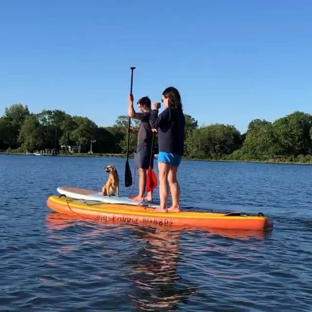 ボビー・ブラウンのインスタグラム：「Searching for a hobby. First paddle board lesson. @5dukes @jplofker @sdplof #biggie」