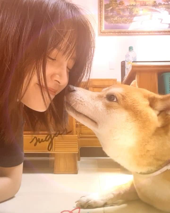 吳子霏（Ellen Wu）のインスタグラム：「比賽誰先笑就輸了 #bwithyou #agnesbtw #agnesb #sportb_tw #sportb」