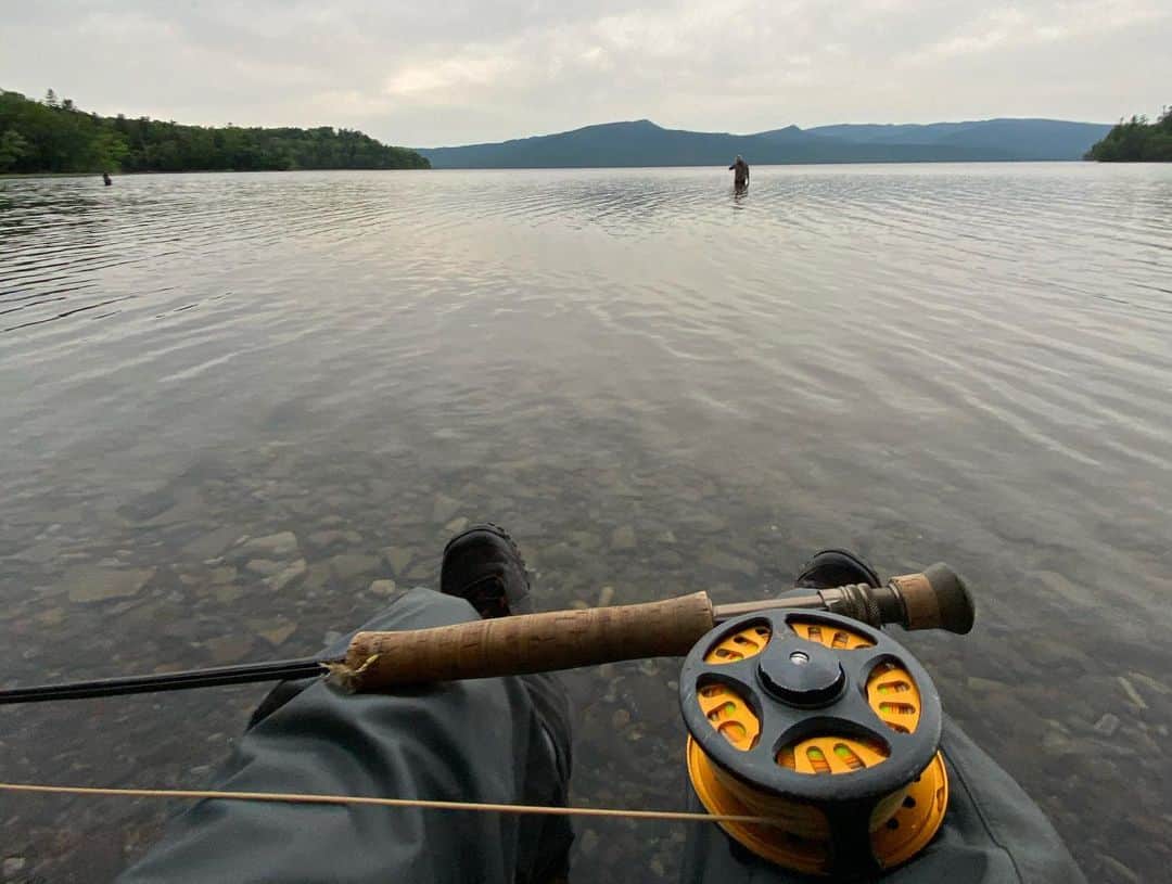 山崎義幸さんのインスタグラム写真 - (山崎義幸Instagram)「毎年トシヤくんと5.6.7月に来てる阿寒湖 シーズンが進むにつれてどんどん変化する湖のコンディションにあわせて釣るのがほんとに楽しい😊 まずは小さいけど一本金色の雨鱒が出てくれた♪  #flyfishing #sims #阿寒湖 #フライフィッシング #セミフライ」6月14日 20時02分 - yoshi_ymz