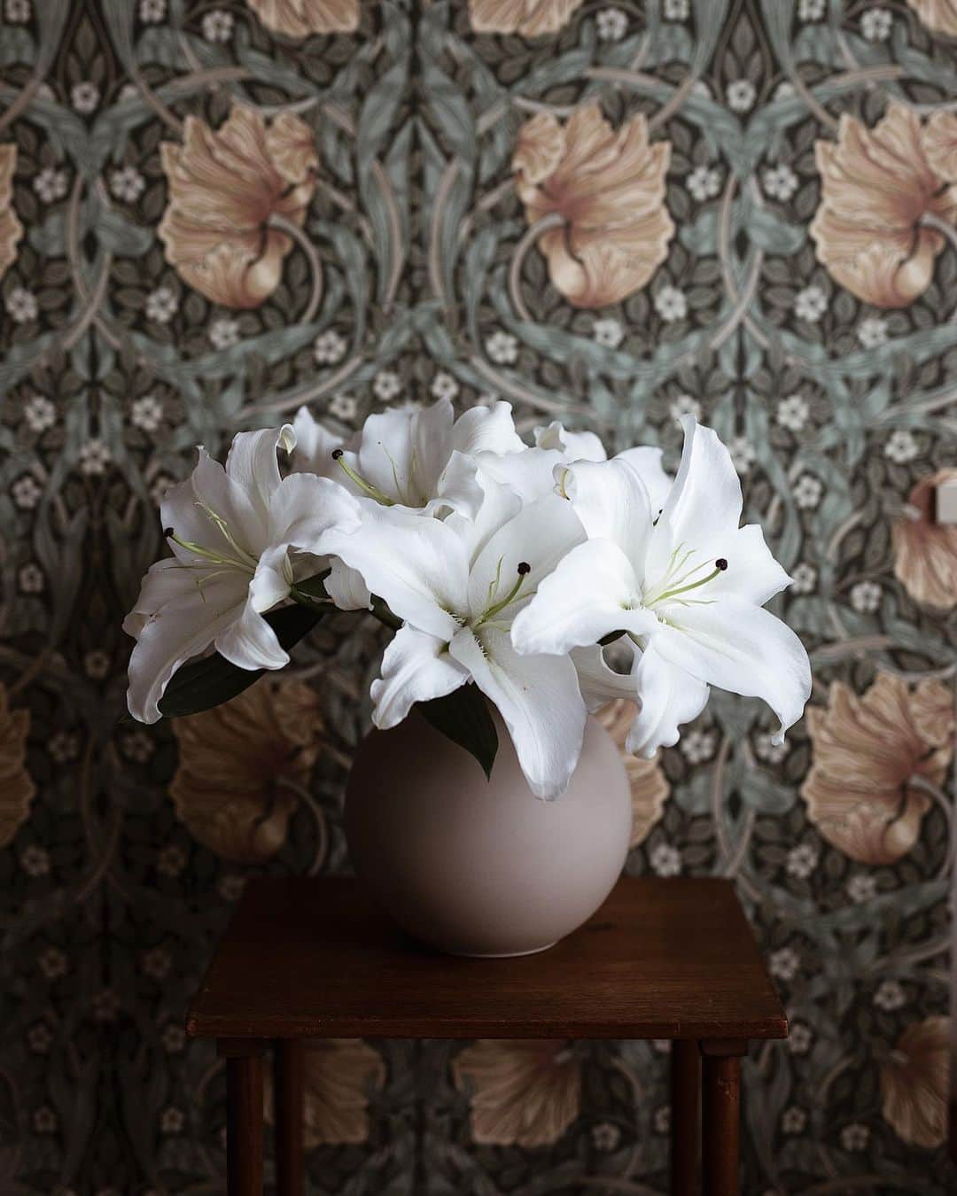 増田由希子さんのインスタグラム写真 - (増田由希子Instagram)「White lilies.  #whitelily #lilies #beautifulscent #cooee 美しい大輪のユリ。 @fare_to_qe  定期便新聞6月号の表紙撮影とスタイリングを担当させていただきました。」6月14日 20時08分 - nonihana_
