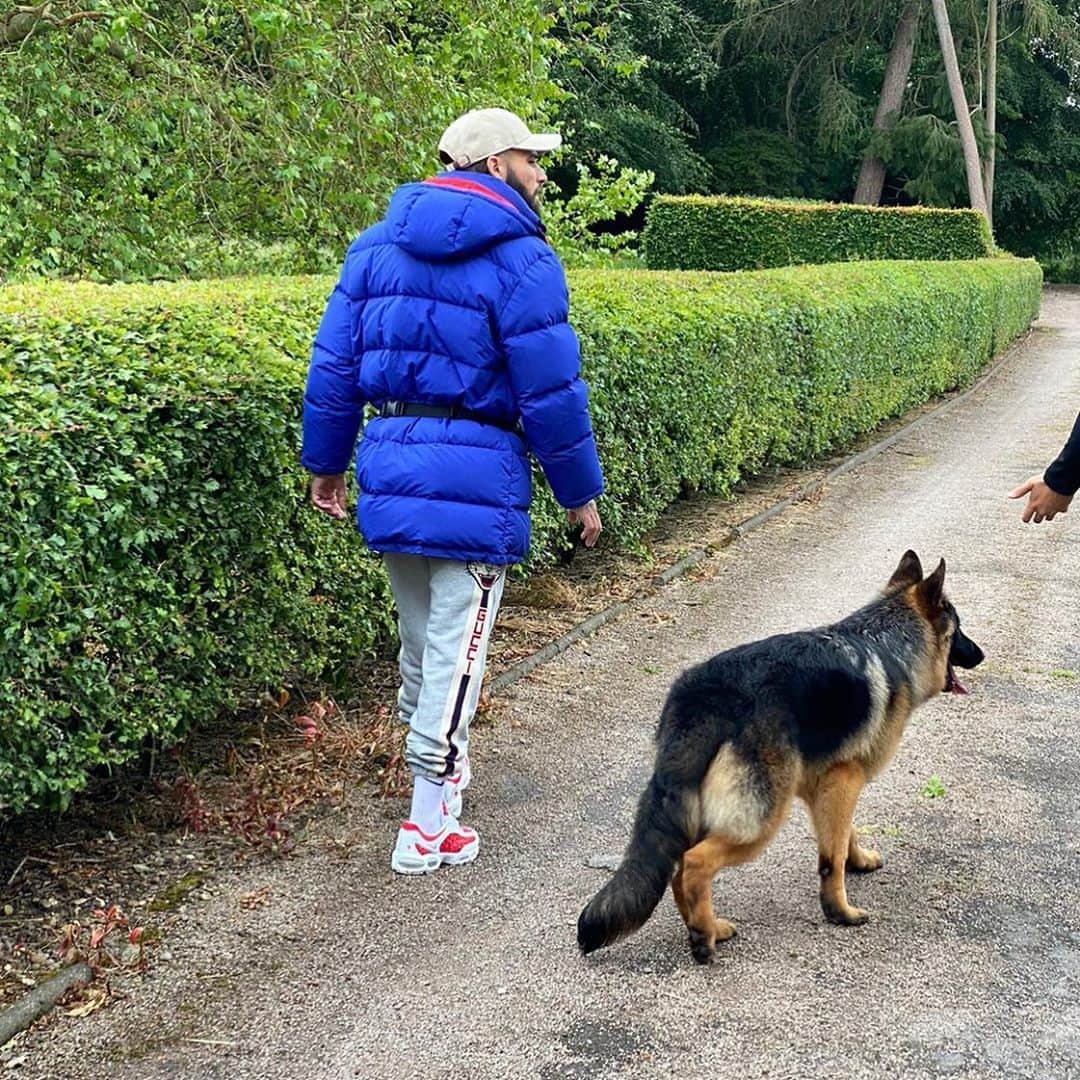 ホタのインスタグラム：「CHASE 🐕 😍」