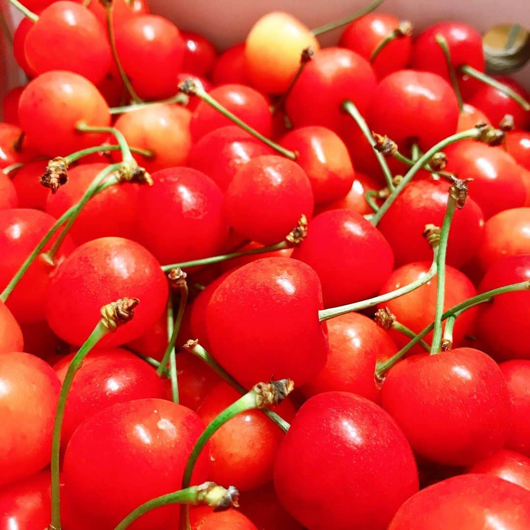 黒塚まやのインスタグラム：「山梨から赤い宝石が届きました🍒 箱を開けただけで大興奮❣️ . #さくらんぼ #山梨 #南アルプス #美味しい」