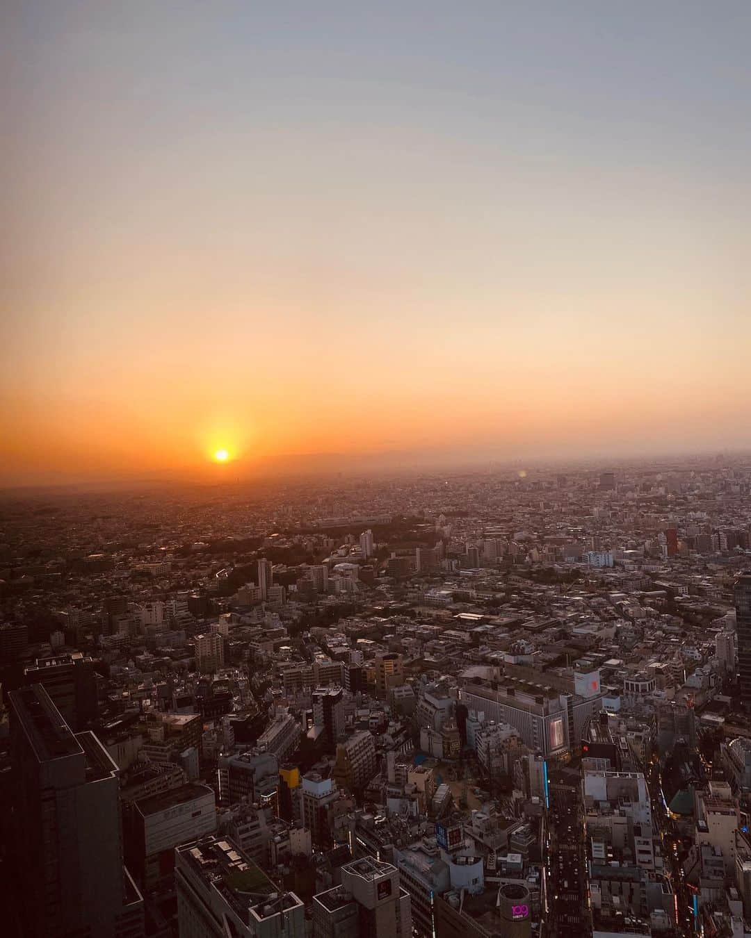 尾崎ありささんのインスタグラム写真 - (尾崎ありさInstagram)「🌇﻿ ﻿ ﻿ ﻿ #sunset #shibuyasky #shibuya #city #cityview #tokyo #beautiful #earth  #landscape #amazing #view #sky #nature #landscape_lovers #landscapelovers #landscapes #tagblender #naturelovers #naturelover #nature_prefection #naturephotography #naturegram #naturelove #naturephoto #夕焼け #渋谷 #渋谷スカイ #空 #写真好きな人と繋がりたい #展望台」6月14日 20時33分 - also1219