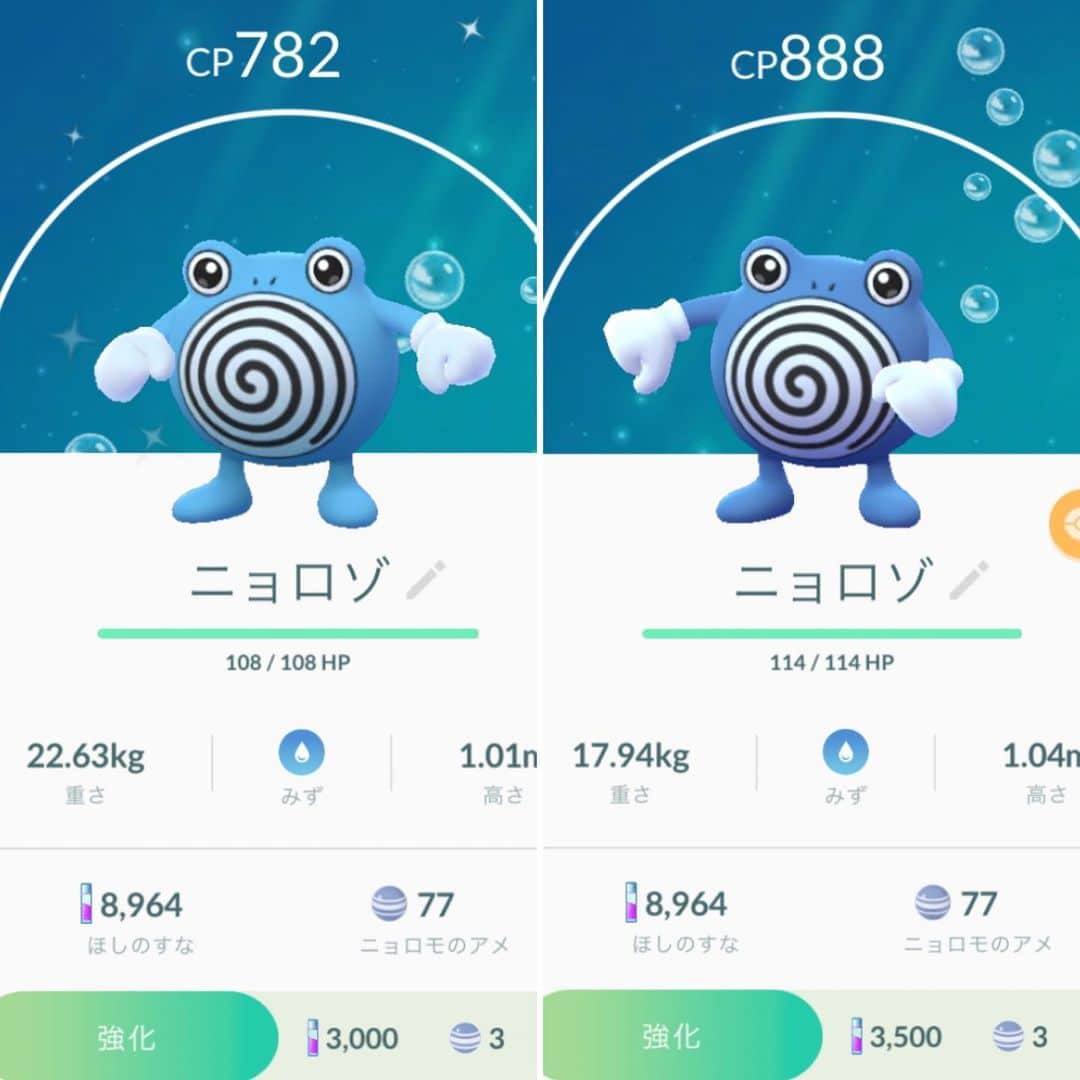 睦さんのインスタグラム写真 睦instagram またまた またまたっ 色違いをゲット ニョロゾも ポケモンgoを 始めた頃に よく捕まえてましたぁ 4年後に 色違いを ゲット出来るとはっ 今回も 微妙な色違いですね でも 現れた時 キラキラしてたので