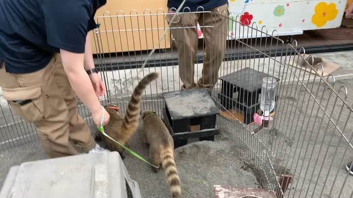 【公式】東京コミュニケーションアート専門学校ECOのインスタグラム