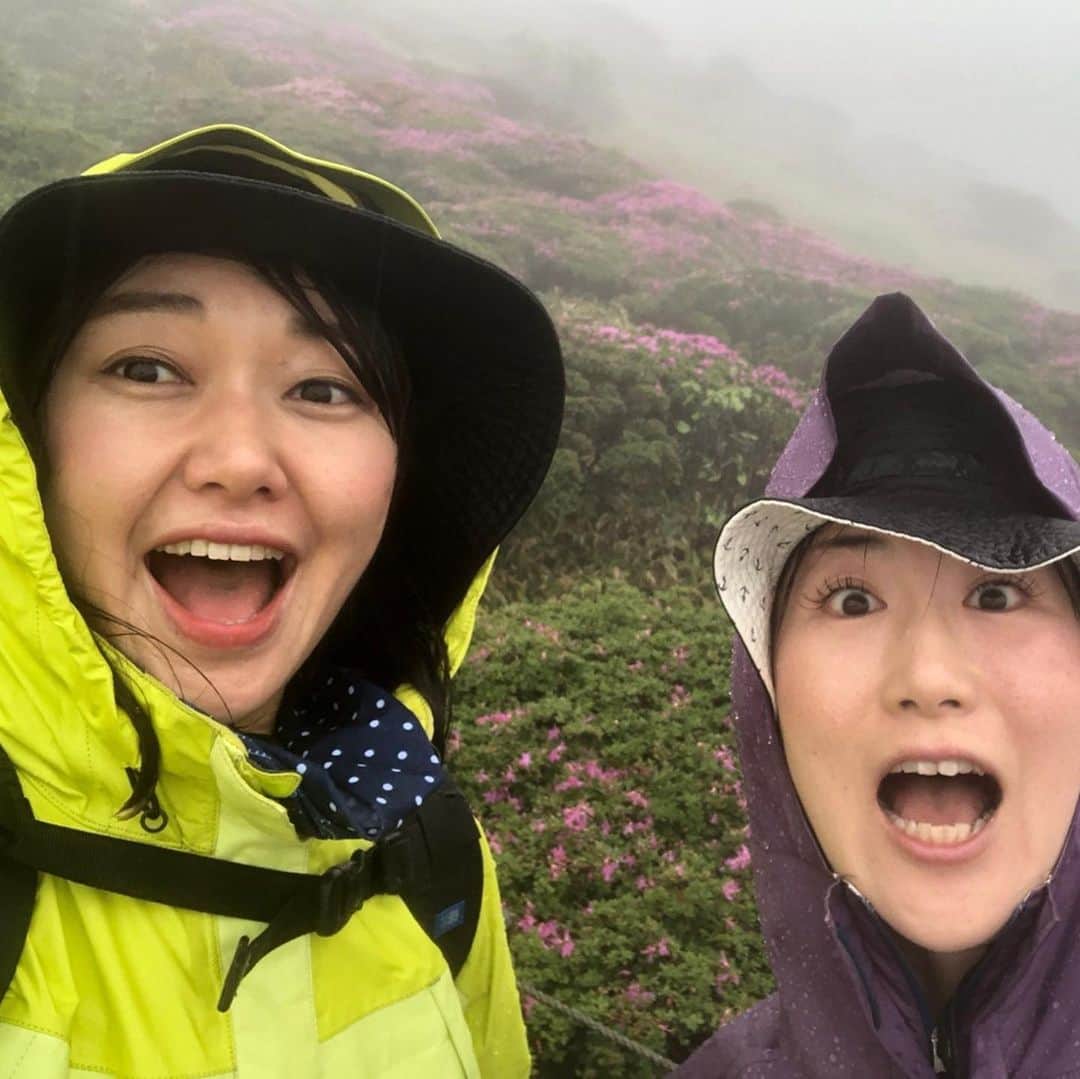 深瀬智聖さんのインスタグラム写真 - (深瀬智聖Instagram)「KBCラジオ📻九重インフォメーション2020🏔 6年ぶりに再びレポート行ってきました😄 数々のアナウンサーやパーソナリティが九重の山に登り、なんと今回で40回目です！✊🏻✨ 今年ももちろんラリーグラスの浦会長のガイドで登って参りました！^ ^  そんなラリーグラスさんも45周年だそうです！！👏🏻✨ 気合い入りすぎたのかとてつもない雨風を連れてきちゃったみたいです😂😅笑 ショートコースになりましたが、楽しかったでーす！！！✨ この様子は6月15日(月)15:15頃から金曜までパオーンの中で放送されます！是非聴いてください^_^！ #KBCラジオ #九重 #九重連山  #くじゅう登山  #登山 #カナディアンヴィレッジ  #ラリーグラス #ミヤマキリシマ」6月14日 21時00分 - chiseifukase