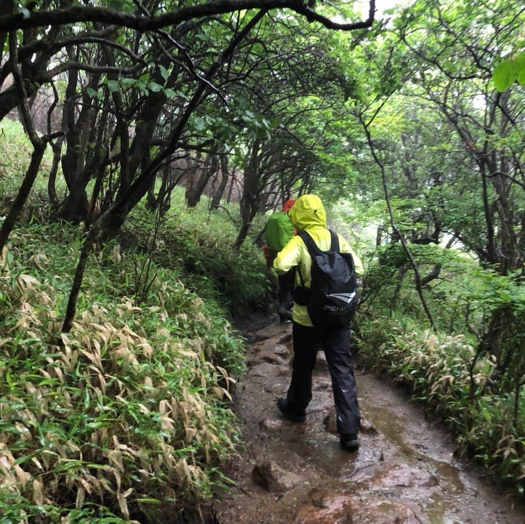 深瀬智聖さんのインスタグラム写真 - (深瀬智聖Instagram)「KBCラジオ📻九重インフォメーション2020🏔 6年ぶりに再びレポート行ってきました😄 数々のアナウンサーやパーソナリティが九重の山に登り、なんと今回で40回目です！✊🏻✨ 今年ももちろんラリーグラスの浦会長のガイドで登って参りました！^ ^  そんなラリーグラスさんも45周年だそうです！！👏🏻✨ 気合い入りすぎたのかとてつもない雨風を連れてきちゃったみたいです😂😅笑 ショートコースになりましたが、楽しかったでーす！！！✨ この様子は6月15日(月)15:15頃から金曜までパオーンの中で放送されます！是非聴いてください^_^！ #KBCラジオ #九重 #九重連山  #くじゅう登山  #登山 #カナディアンヴィレッジ  #ラリーグラス #ミヤマキリシマ」6月14日 21時00分 - chiseifukase