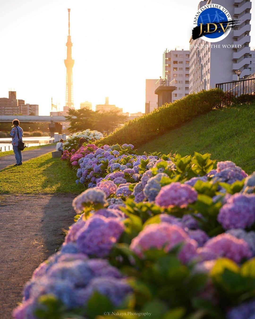 japan_daytime_viewのインスタグラム