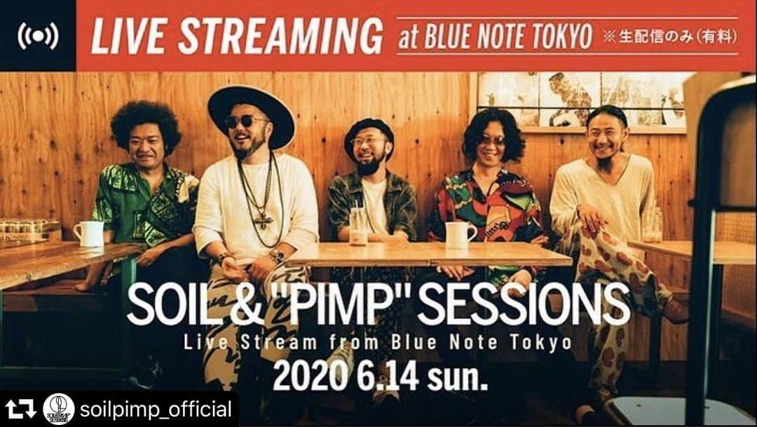 社長さんのインスタグラム写真 - (社長Instagram)「#repost @soilpimp_official ・・・ ★“LIVE STREAM from Blue Note Tokyo”見逃し配信のご案内★ . 約3ヶ月ぶりのSOILライブ、ご覧頂いた皆さまありがとうございました♩ . 見れなかった！もう一回見たい！という方へ、見逃し配信のご案内です。 . すでにチケットをお持ちの方は、アーカイブ配信をご視聴頂けます。チケットを事前に購入されていなかった方は、「見逃し配信チケット」のご購入により、1週間視聴が可能となります。 . ＊チケット販売終了：6/21(日)23:00 ＊配信期限：6/22(月)0:00 . ◆ZAIKO ◆Streaming+（e+） ◆PIA LIVE STREAM（ぴあ） . 詳細はBlue Note Tokyo オフィシャルサイトにてご確認ください。 . #bluenotetokyo #soil」6月14日 21時55分 - shachosoilpimp