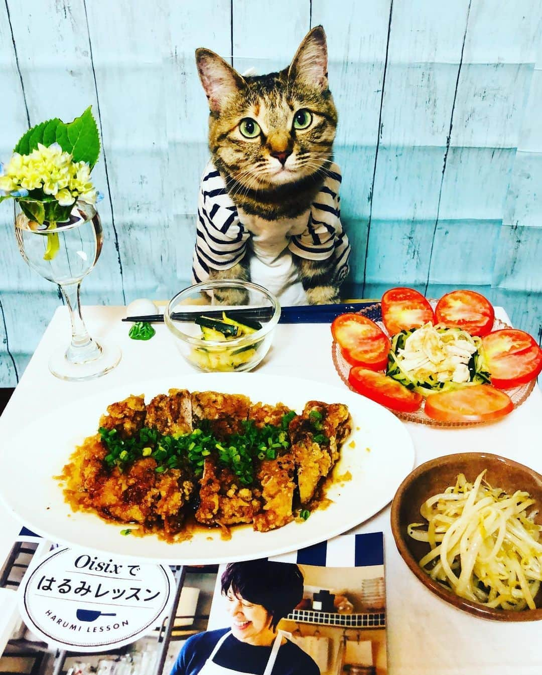 マロさんのインスタグラム写真 - (マロInstagram)「@oisix さんのKit Oisixプレミアムモニターに参加させて頂きます😸 今回は、憧れの栗原はるみ先生　@harumi_gram の『油淋鶏』『もやし炒め』が届きました❣️ レシピBOOKは、写真入りで分かりやすく、作りやすかったです🍳 ✴︎ .油淋鶏(Oisix) (Fried Chicken with Sweet and Sour Sauce) .もやし炒め(Oisix) (Stir-fried bean sprouts) .棒棒鶏 (shredded chicken with spicy sesame sauce) .ズッキーニのナムル (Zucchini namul) ✴︎ いつもコメントありがとうございます😺🙏💕 返信出来なくてすみません🙇‍♀️ 全て拝見しています🐾 ✴︎ Thank you for your kind comments😺🙏💕 I'm sorry that I couldn't reply. ✴︎ #cat#cats#catsofinstagram#food #chef#ねこ#ねこ部#kitoisix#料理 #kitoisixプレミアムモニター #oisixではるみレッスン  #栗原はるみ」6月14日 22時12分 - rinne172