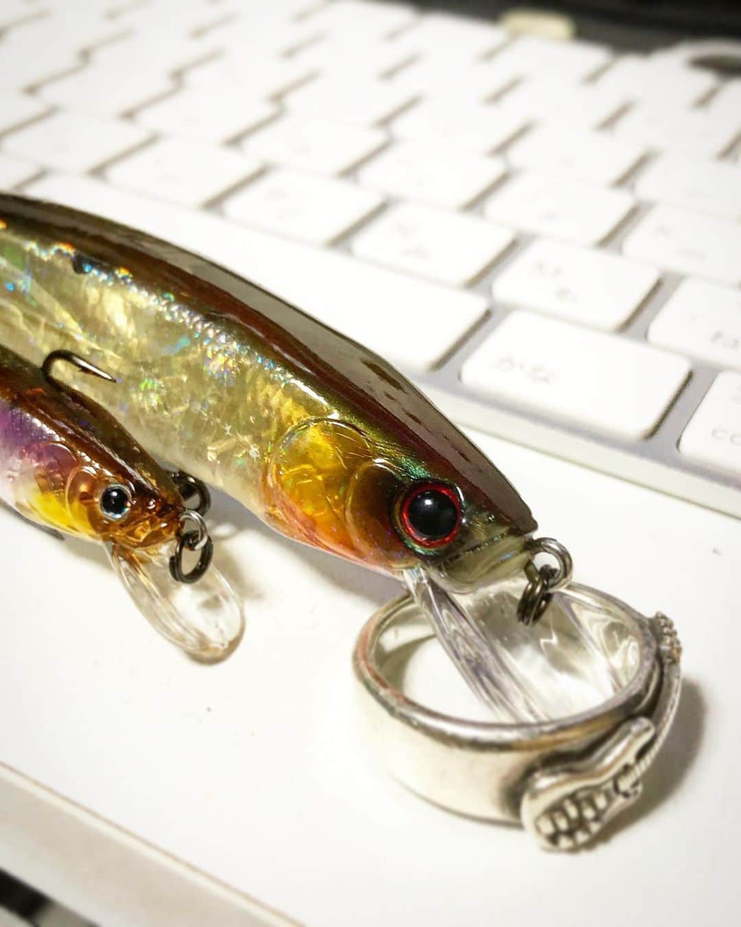 人時のインスタグラム：「HIDEUP  HU-MINNOW 111F と HU-MINNOW 77SP いい感じ♫」