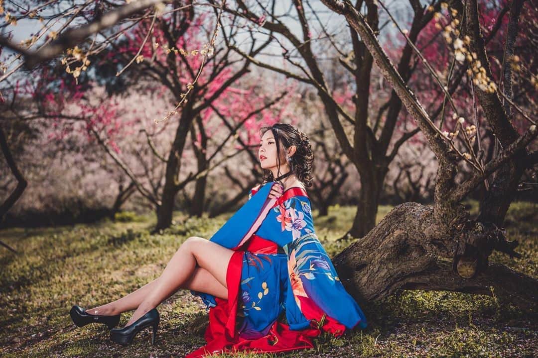 イルコ光の魔術師のインスタグラム：「わぁ〜今日のアップ遅くなっちゃった❗️今回は大好きな135mmで撮ってまーす❗️左からストロボ1灯でライティング❗️. . モデル: @mi_portrait . . 新しい @ilkomobile アカウントにiPhoneで撮ってるポートレートもアップしますよ！いい光があればカメラ&レンズはなんでもいいと思います . . #ストロビスト #ポートレート #花見 #135mm #Sigma #instagramjapan #青森 #東京カメラ部 #ig_today #igersjp #tokyocameraclub #instalike #instagramhub #team_jp_ #vscogoodshot #strobist #strobistlighting #portrait_perfection #iphonephotography #イルコ #光の魔術師 #桜 #instagramhub #カメラ女子 #iphoneography  #lovers_nippon #ファインダー越しの私の世界 #写真好きな人と繋がりたい #portrait」