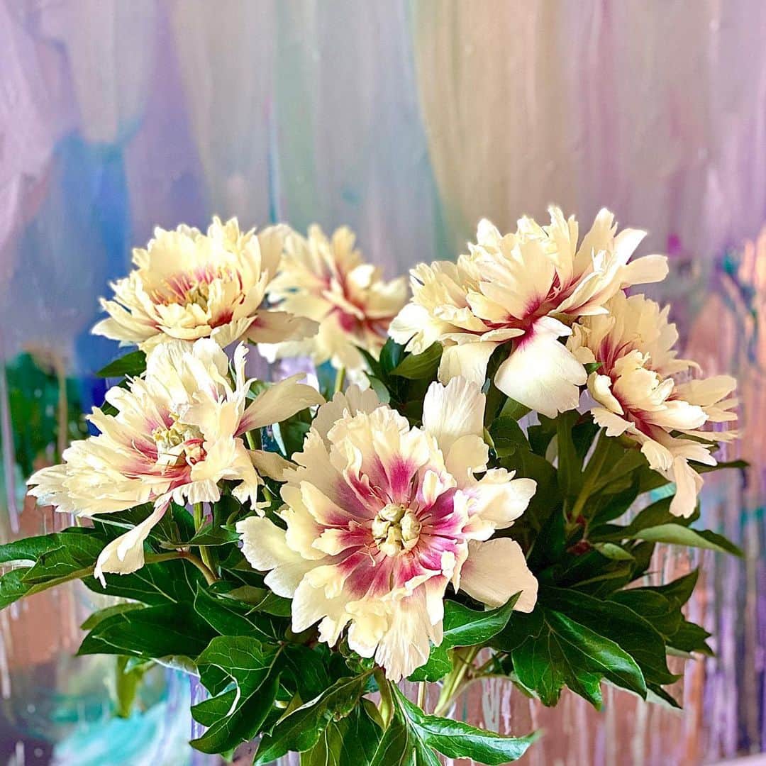 ニコライ・バーグマン・フラワーズ＆デザインさんのインスタグラム写真 - (ニコライ・バーグマン・フラワーズ＆デザインInstagram)「Yellow Peonies 💛 #houseflowers #homedecor #peonies #nicolaibergmann #ニコライバーグマン」6月14日 22時50分 - nicolaibergmann