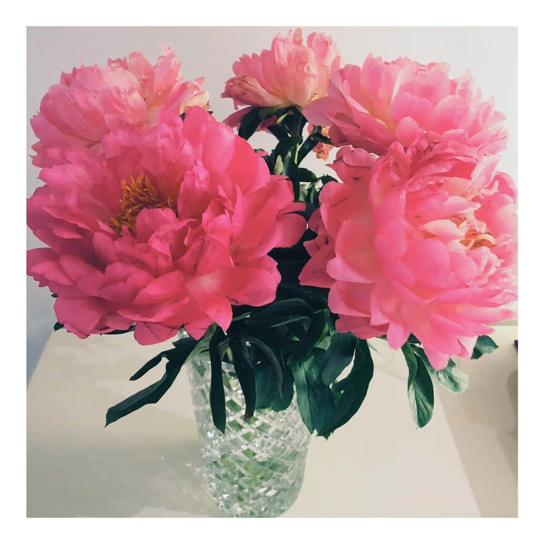 ココリボンさんのインスタグラム写真 - (ココリボンInstagram)「🌸🌸🌸 I picked these beauties up for my mum on Saturday at the @cambridgemarketssydney  Could they be any more beautiful?! I think not... #peonylover #printspiration #perfectionofnature」6月15日 10時24分 - cocoribbon_official