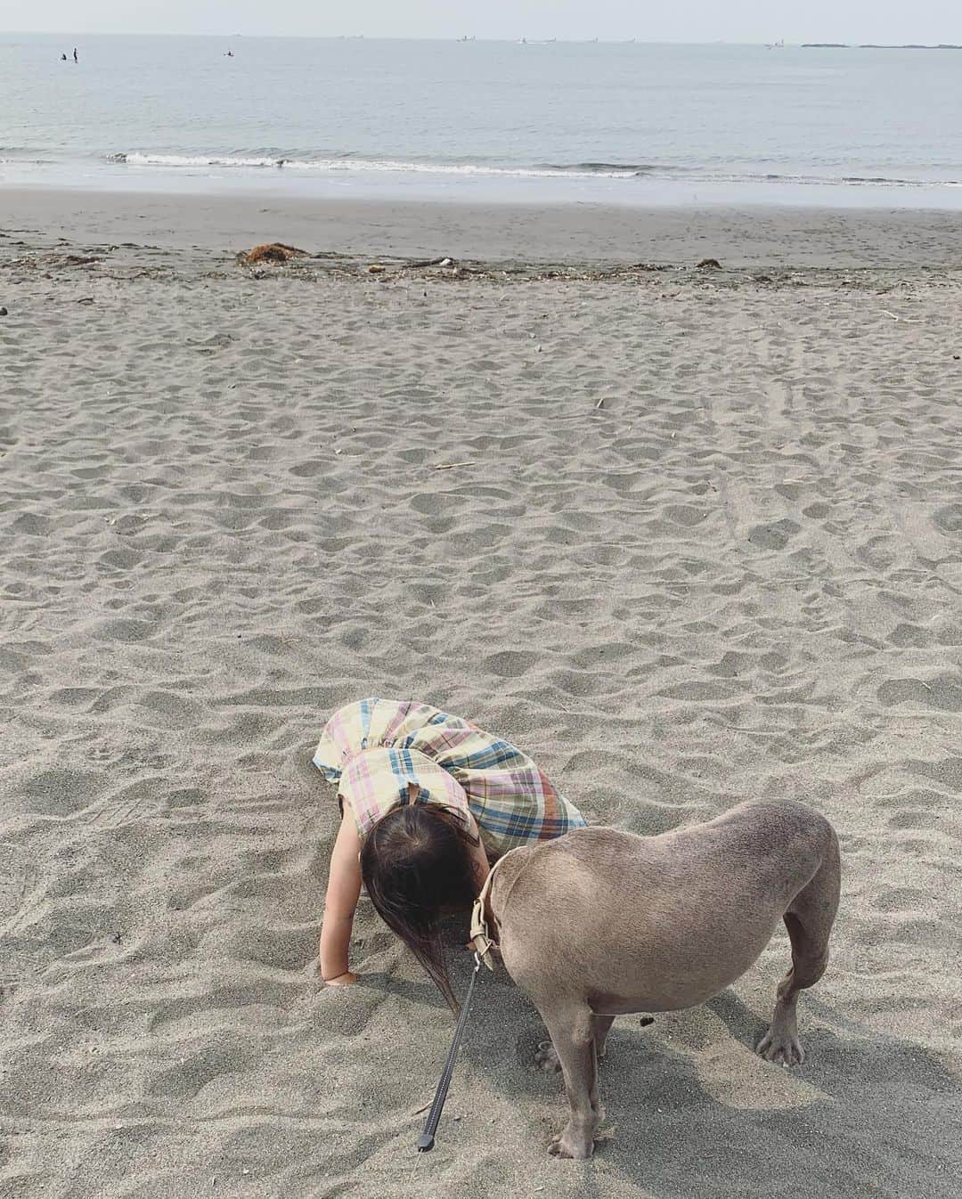 鈴木六夏さんのインスタグラム写真 - (鈴木六夏Instagram)「おはようございます！ お散歩中、砂がキラキラ綺麗でふーっと深呼吸。  おてんばちゃんは ばぁば手作りワンピースが砂だらけ😅」6月15日 8時58分 - rikuka.62