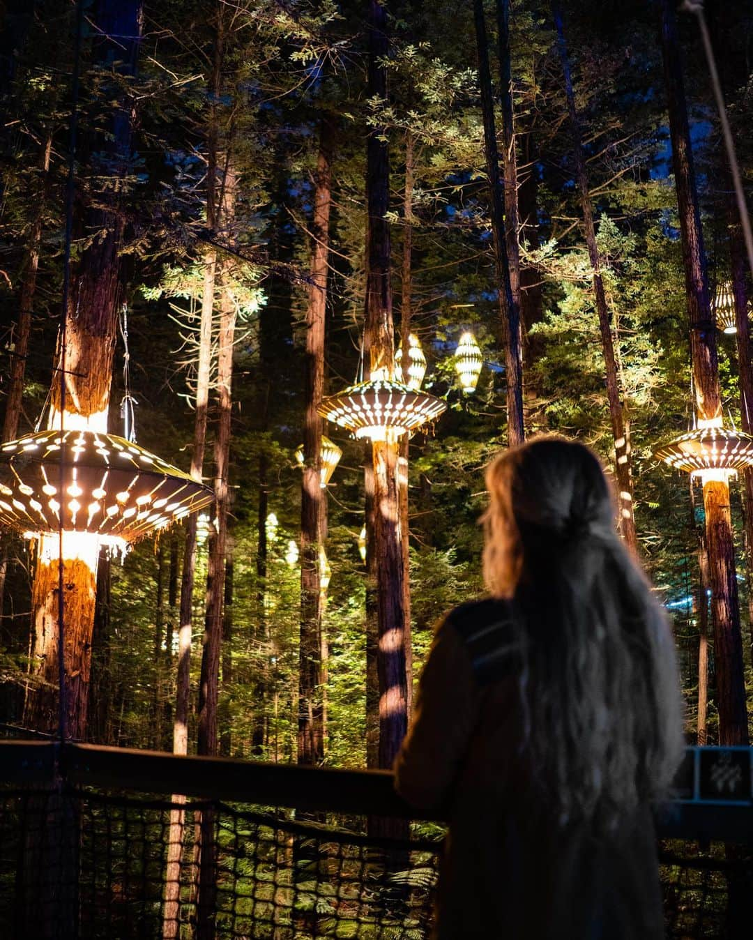 Travis Burkeさんのインスタグラム写真 - (Travis BurkeInstagram)「Check out this California Redwood forest in New Zealand!  This unique path is suspended 20 meters high using slings around the trunks of the trees traveling 700m through the grove of redwoods! The ferns that blanket the floor created such beautiful symmetry beneath our feet. Swipe to see how the forest transforms with these unique eco-art installations after nightfall.  Ancient forests, oceans apart, making us feel a little closer to home.  @Treewalknz w/ @gypsealaysea  #californiaredwoods #suspensionbrindge #newzealand」6月15日 9時26分 - travisburkephotography